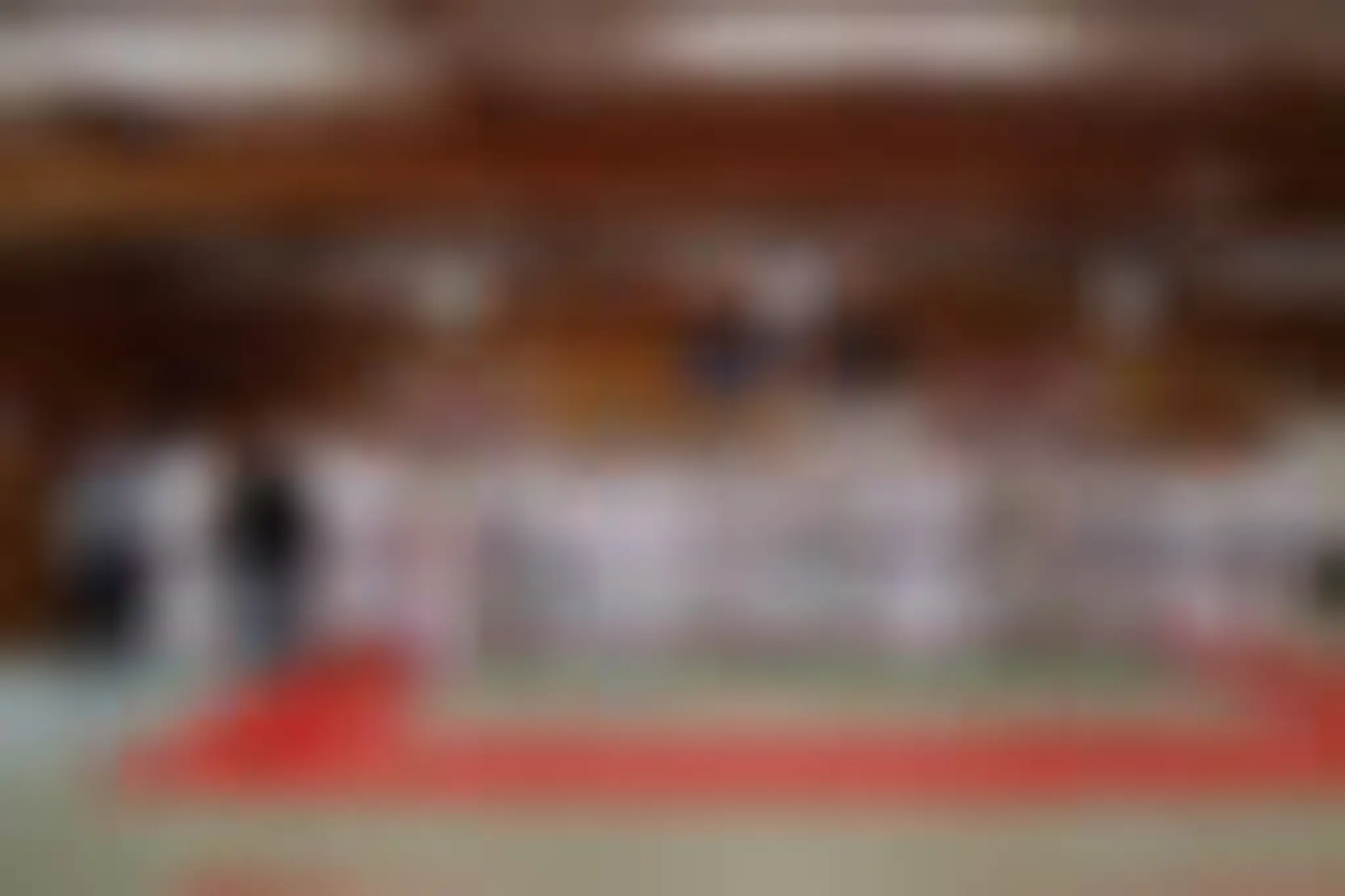 KARATE DO KINGERSHEIM