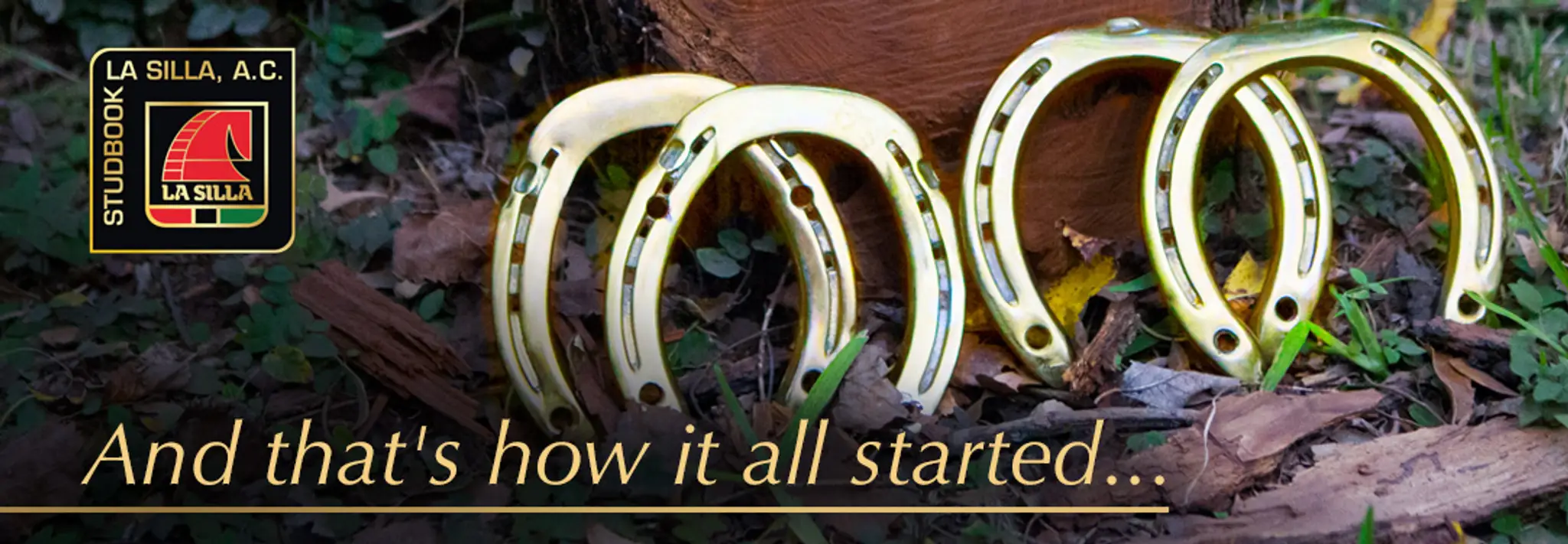 Club Hípico La Silla