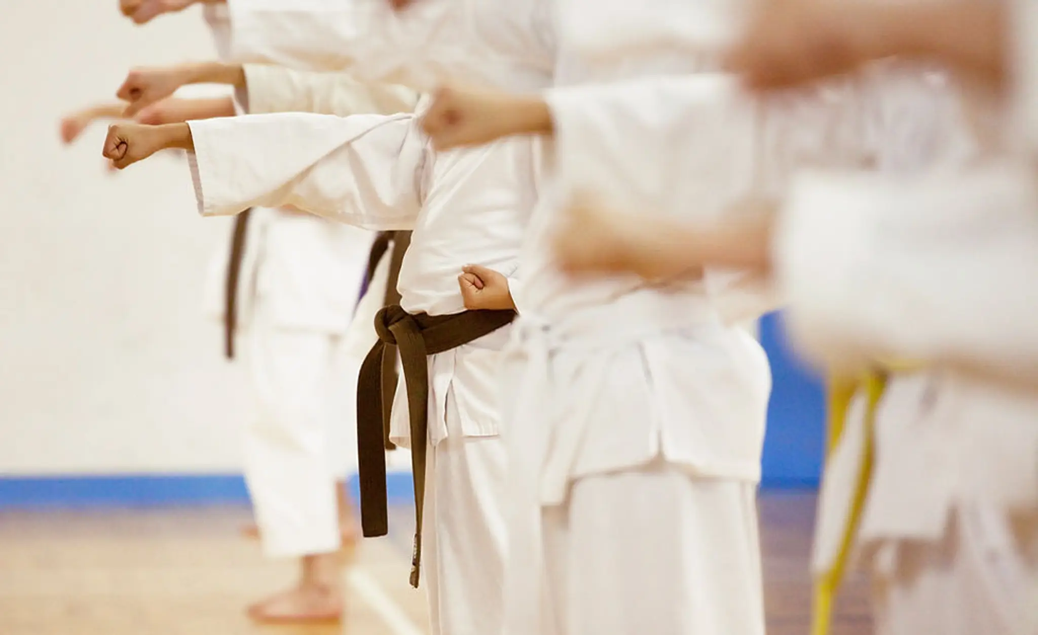 Ignite TKD Inc. Markham