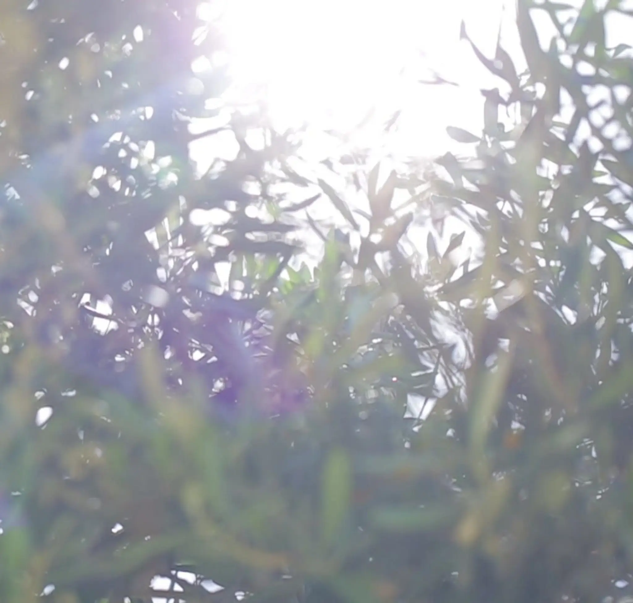 Seaire Yoga & Meditation