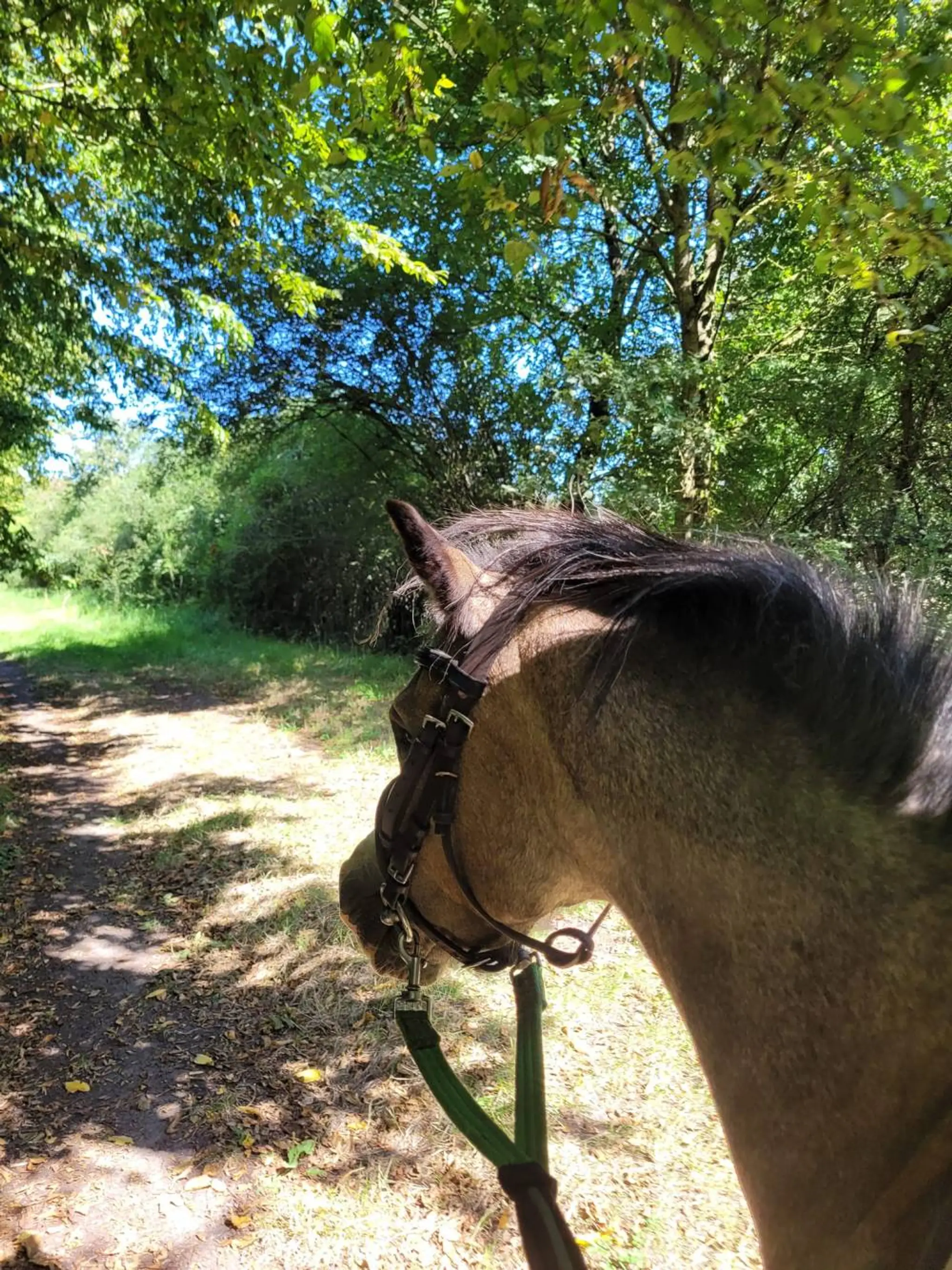 Equestrian Center De La Mairerie