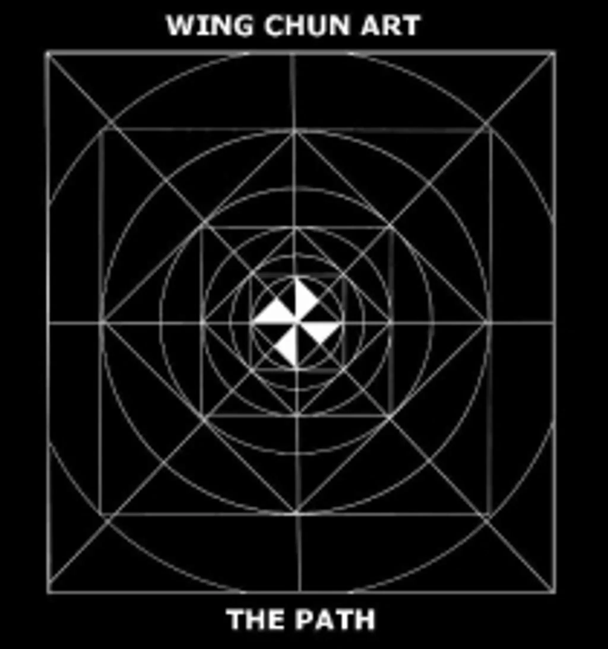 Wing Chun Art