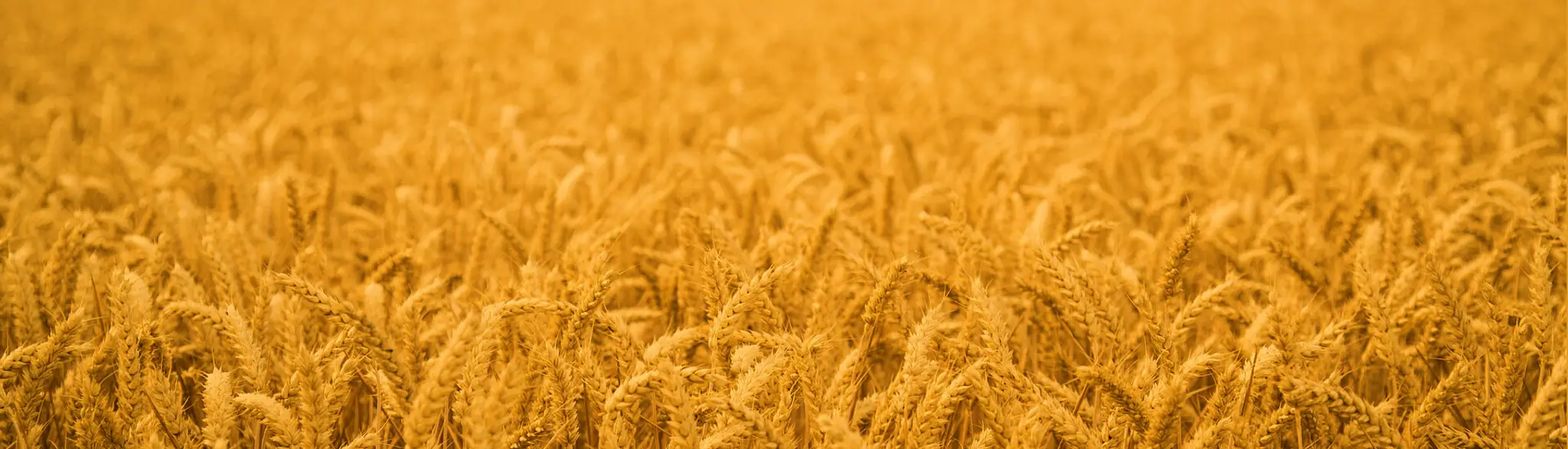 Nav Durga Hair Cutting