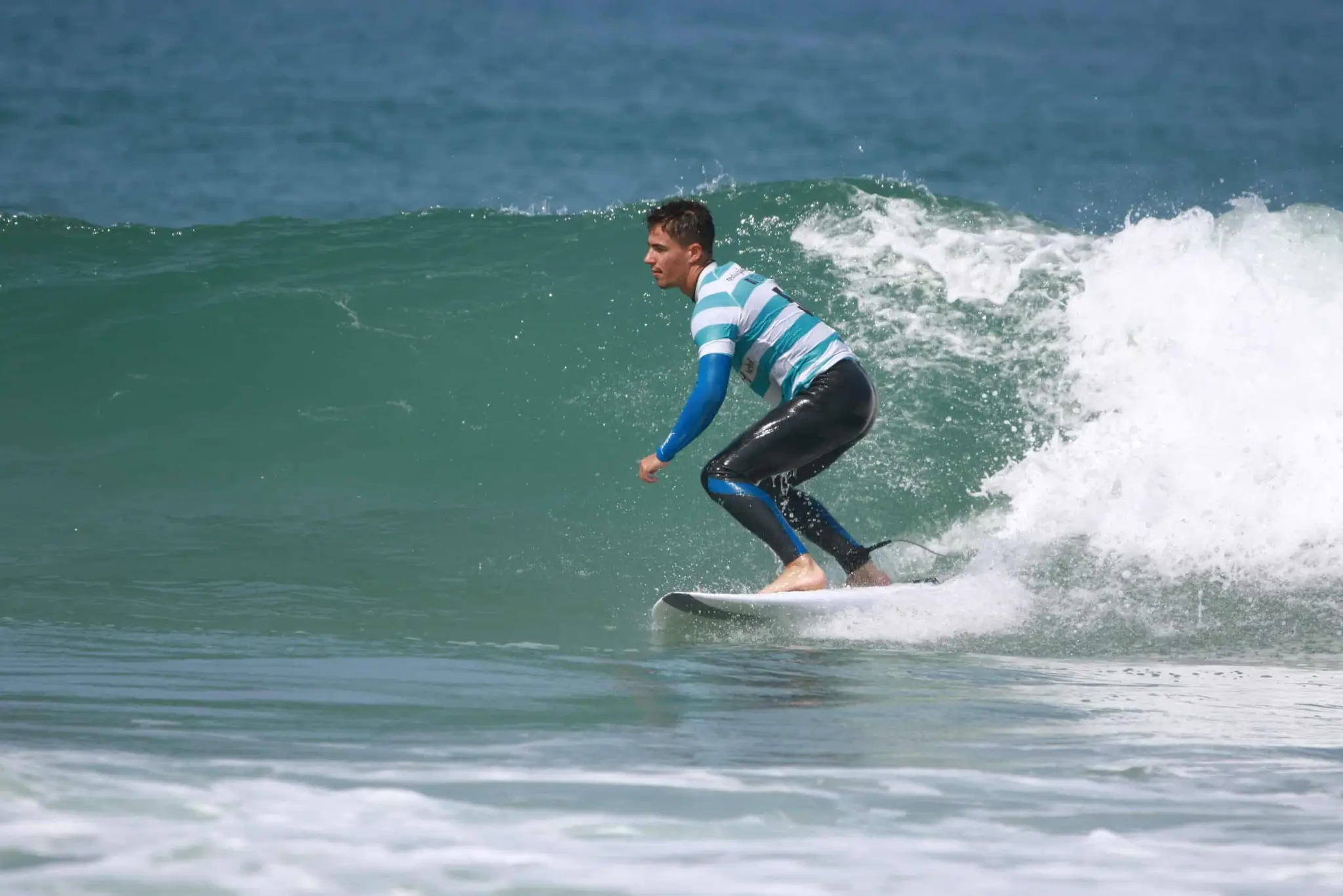 Ted's Surf House