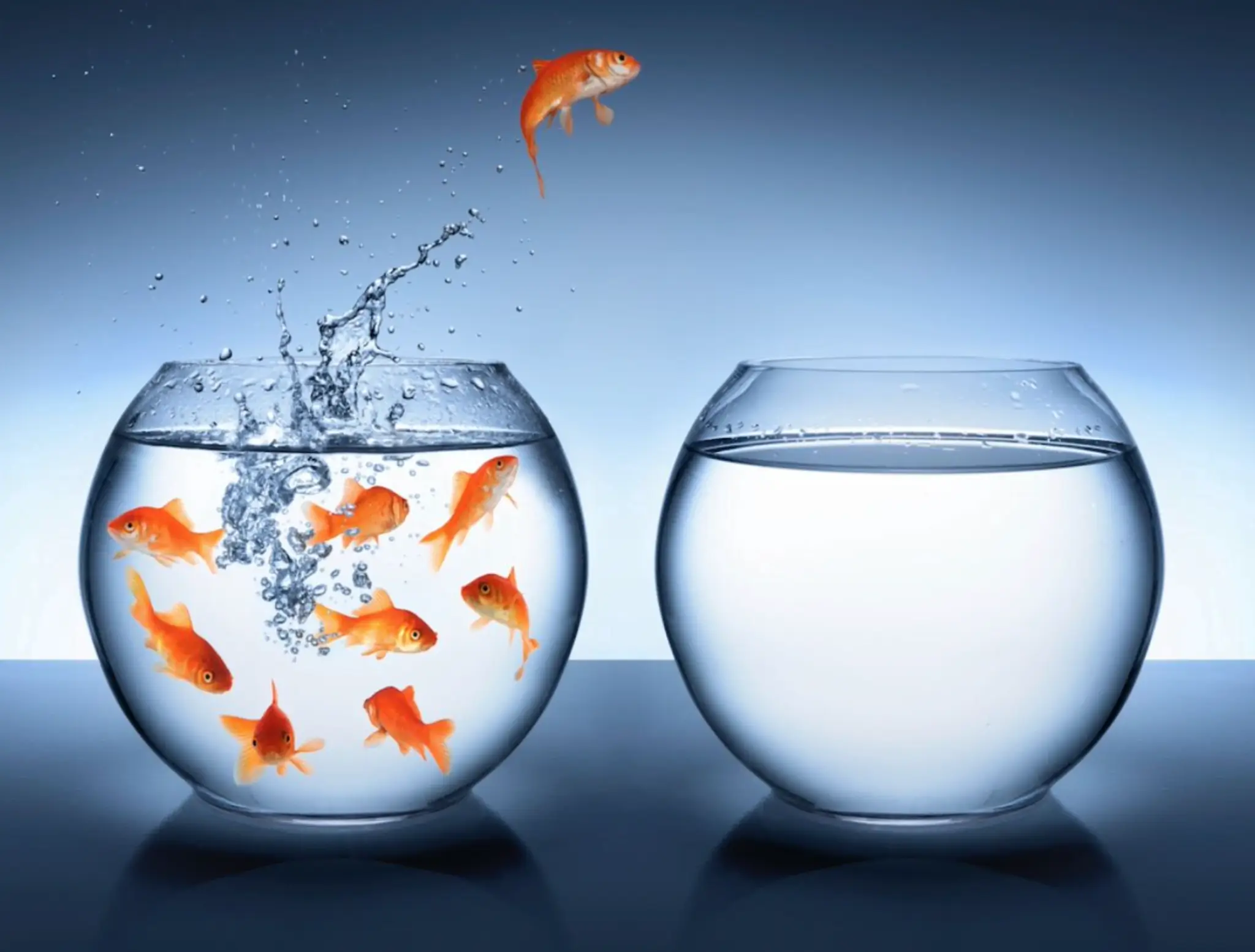 Marie-Capucine Carles - Coaching Professional Business Dirigeant