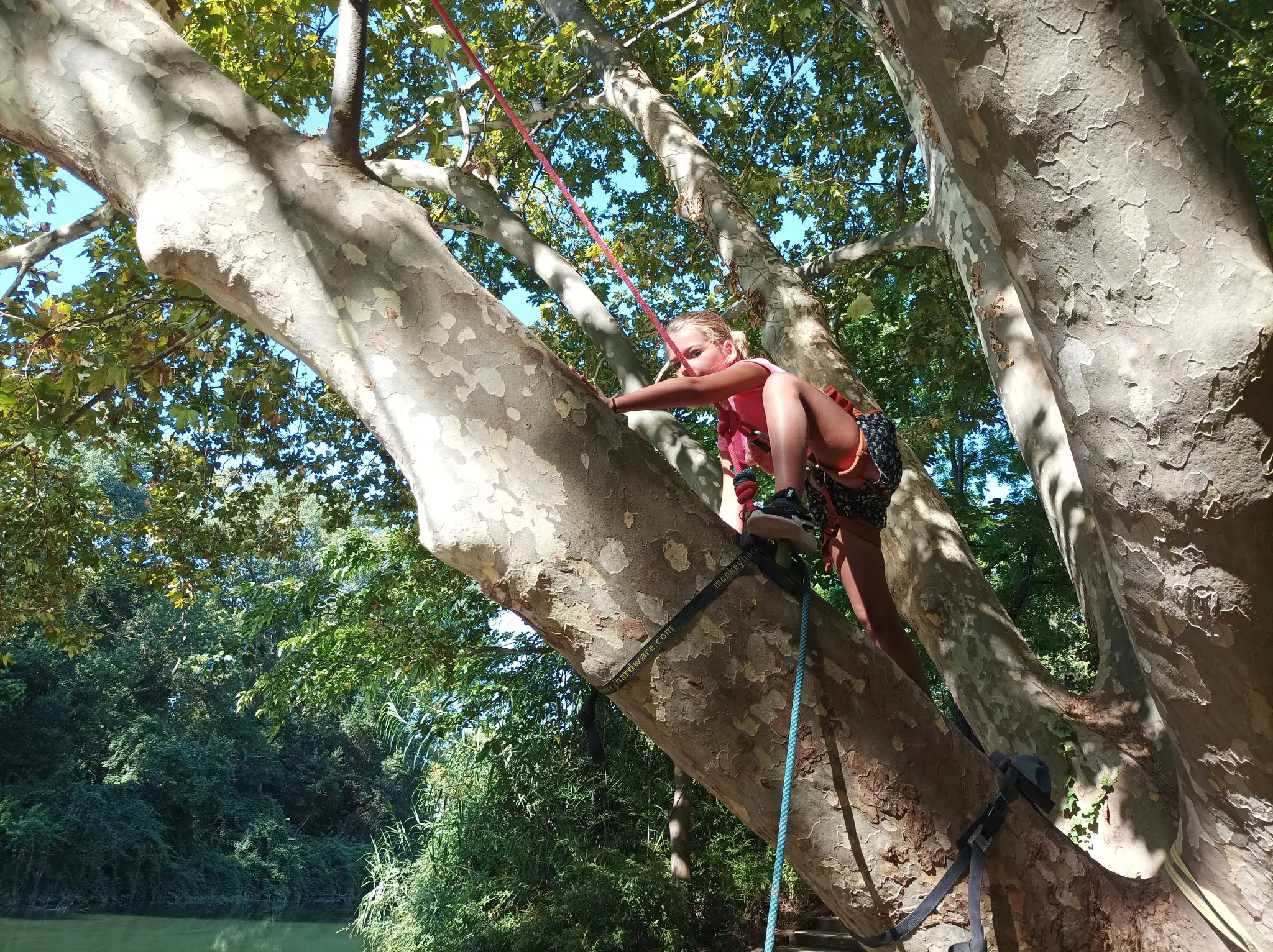 Voyage au bout de la cime