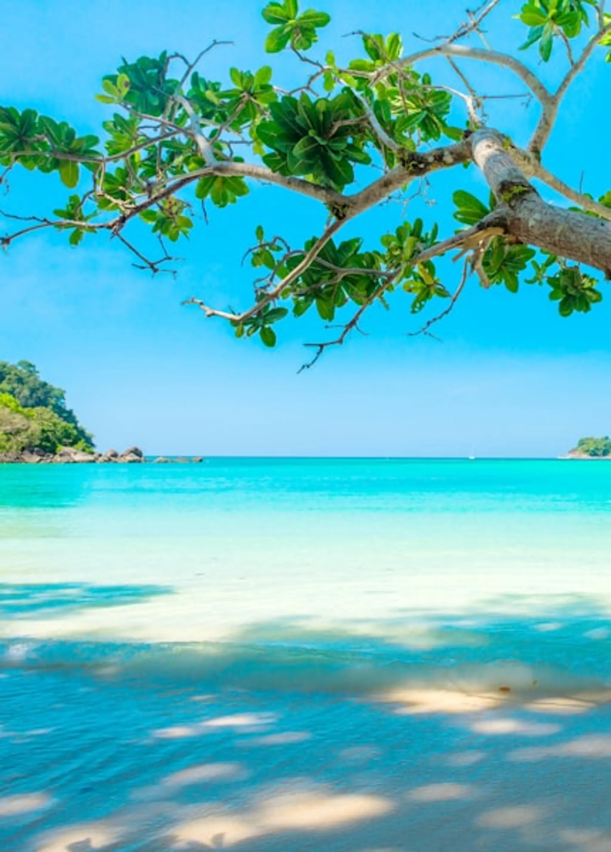 Elements Studio Yoga + Movement + Recovery