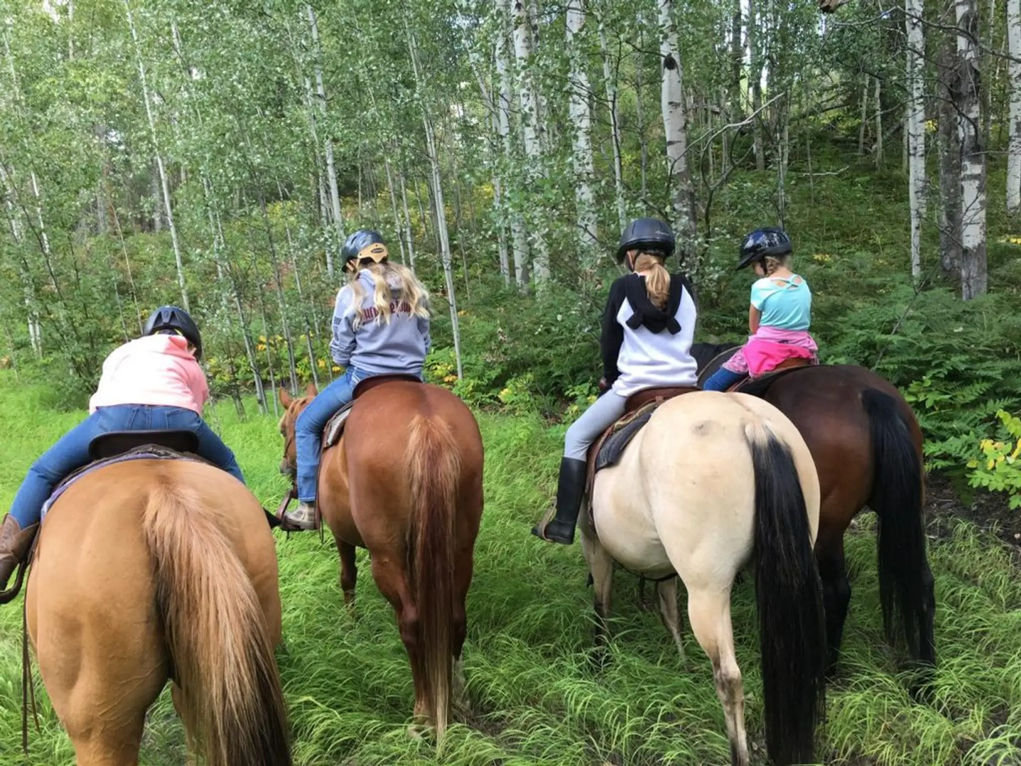 Harding Heights Ranch Ltd.