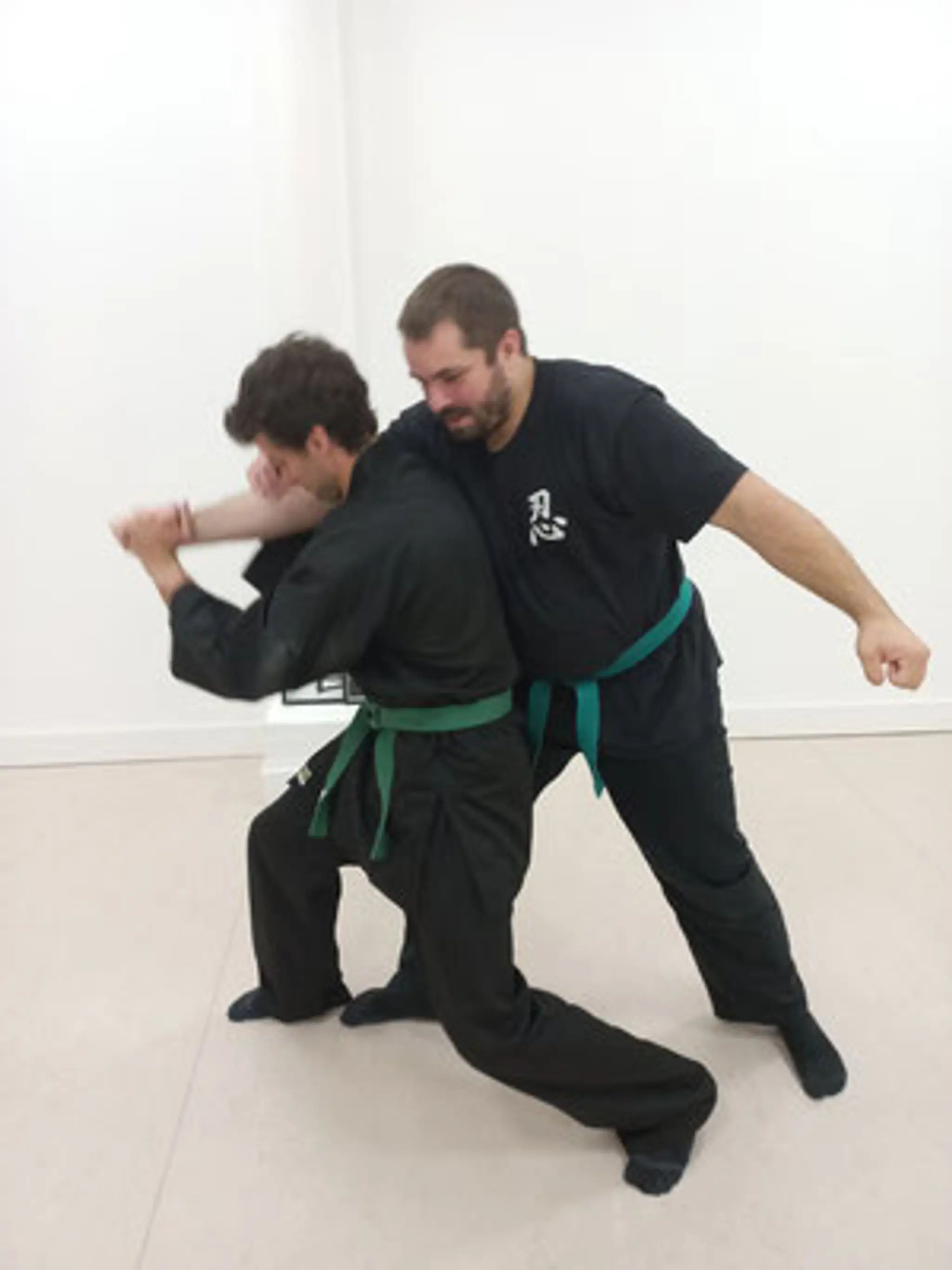 Yaiba Bujinkan Grenoble