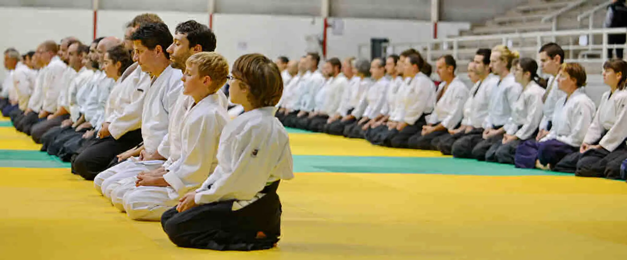 Aikido Bourg En Bresse COSEC Voisin et Sardières