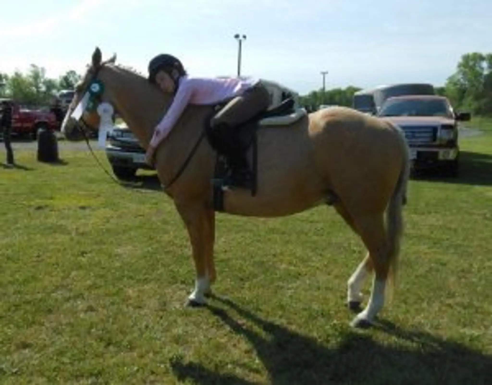 Miron Valley Stable & Riding School