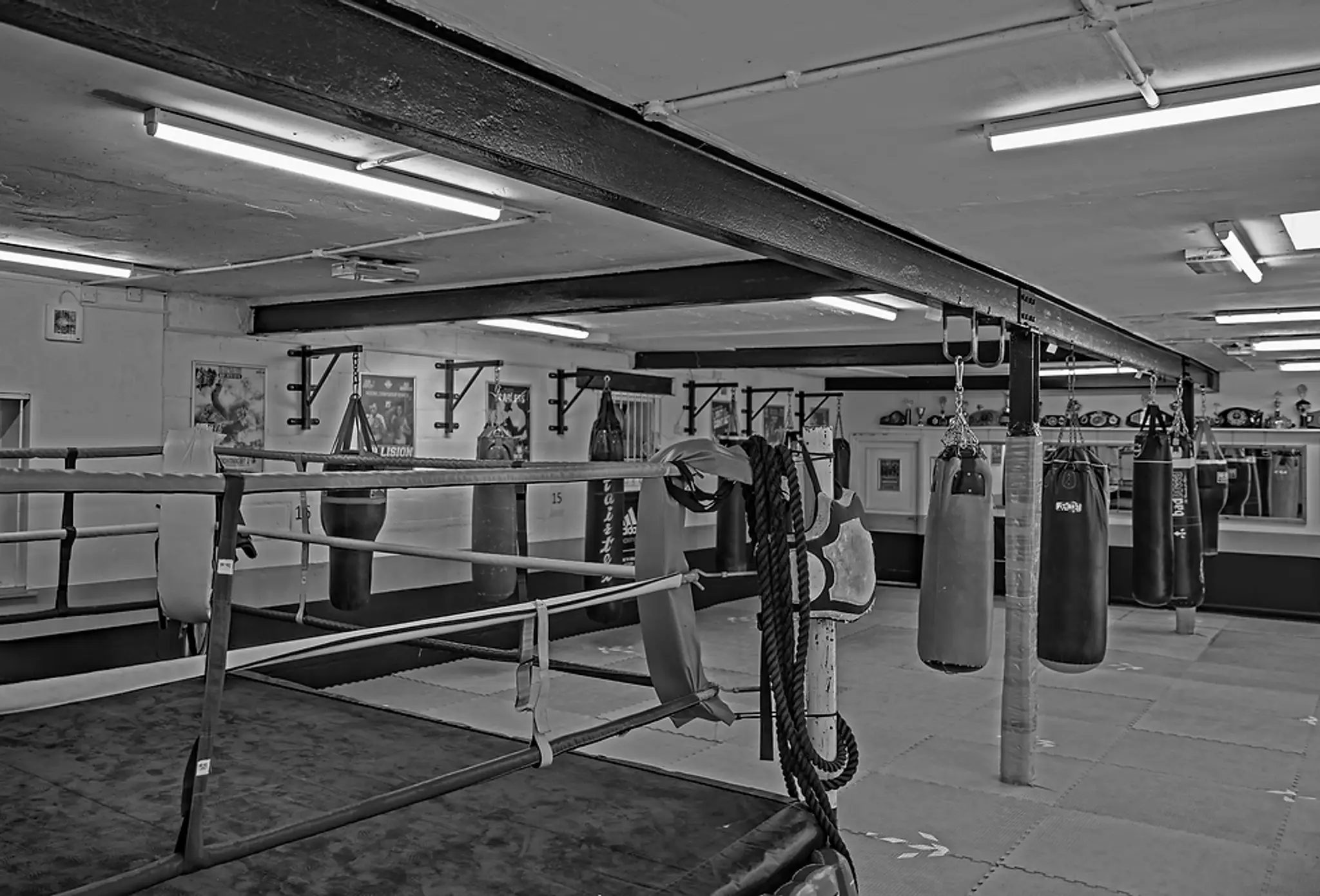 T K O Kickboxing & Boxing Academy