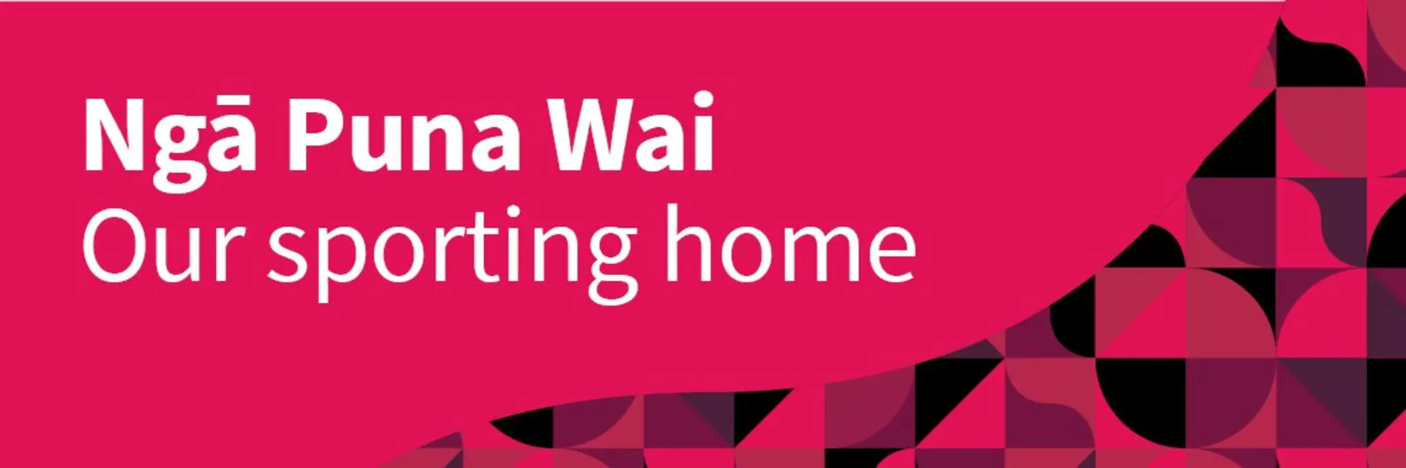 Ng Puna Wai Sports Hub