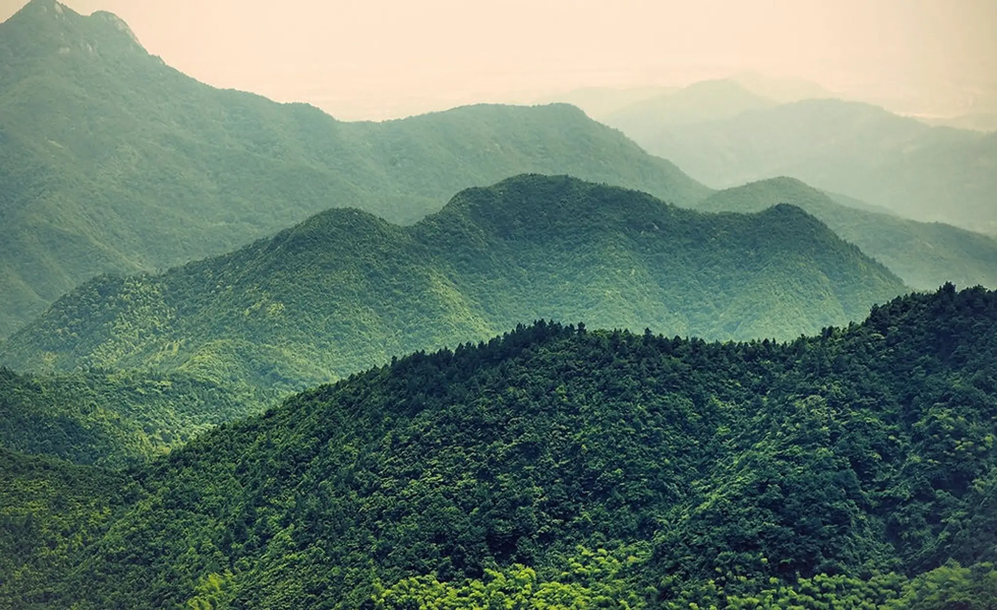 Move To Learn-Learn To Move -ADELAIDE