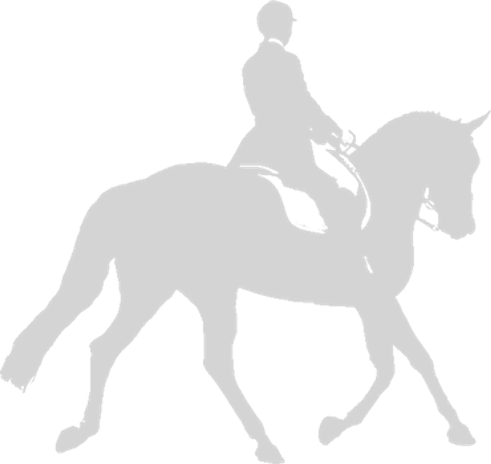 Lavant Equestrian