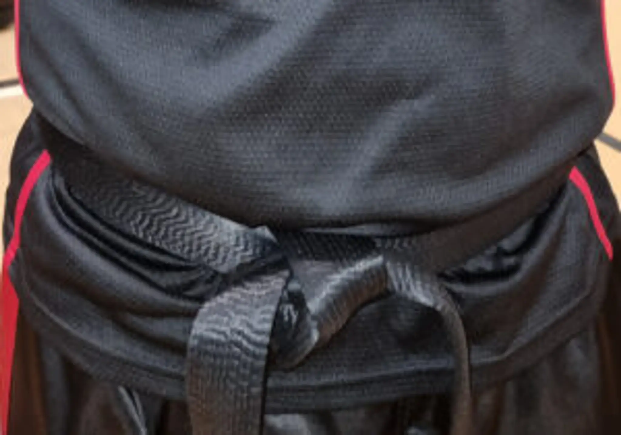 Pro Martial Arts Schools