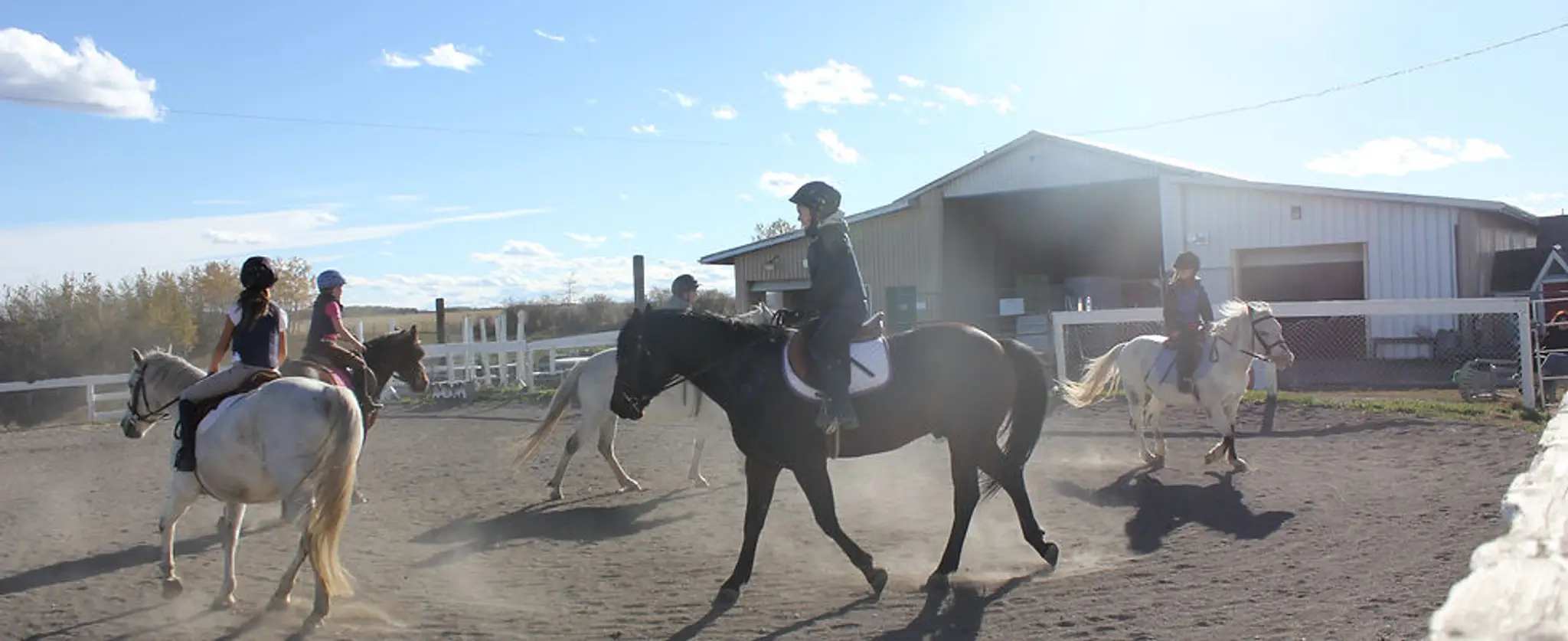 Simpson's Equine Activities