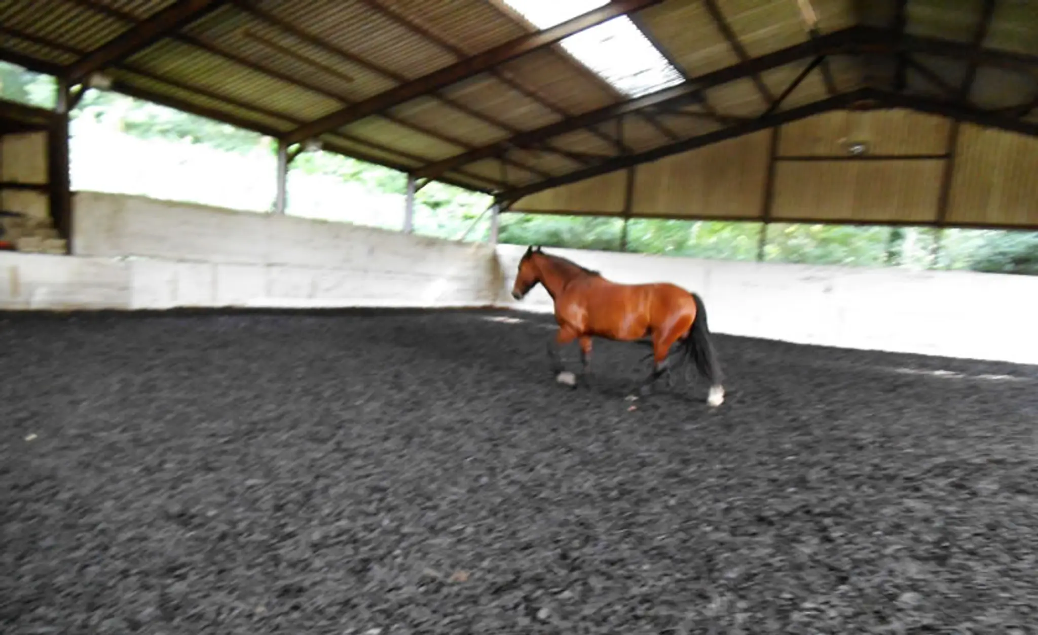 Whydown Equestrian Centre