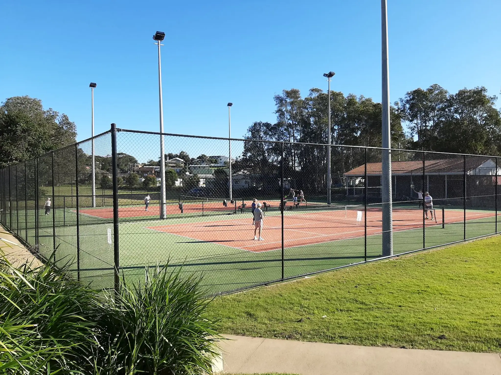 Scott's head tennis club