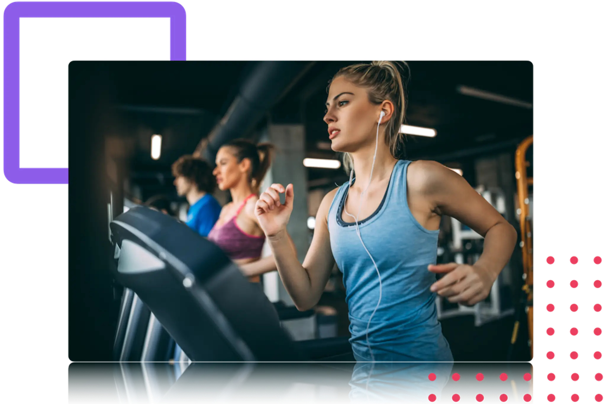 Safari Personal Training