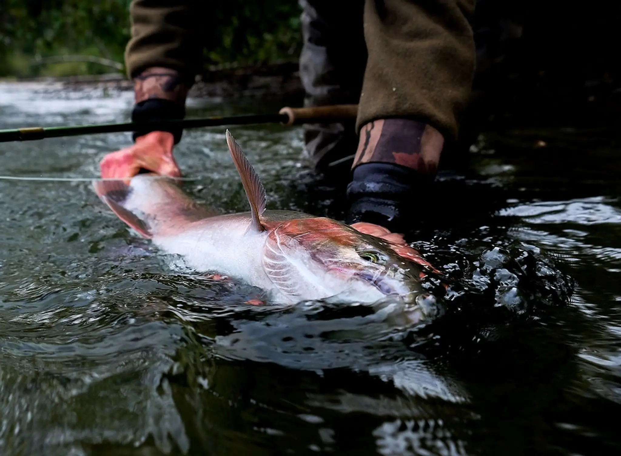 Whistler Fishing Guides Since 1988