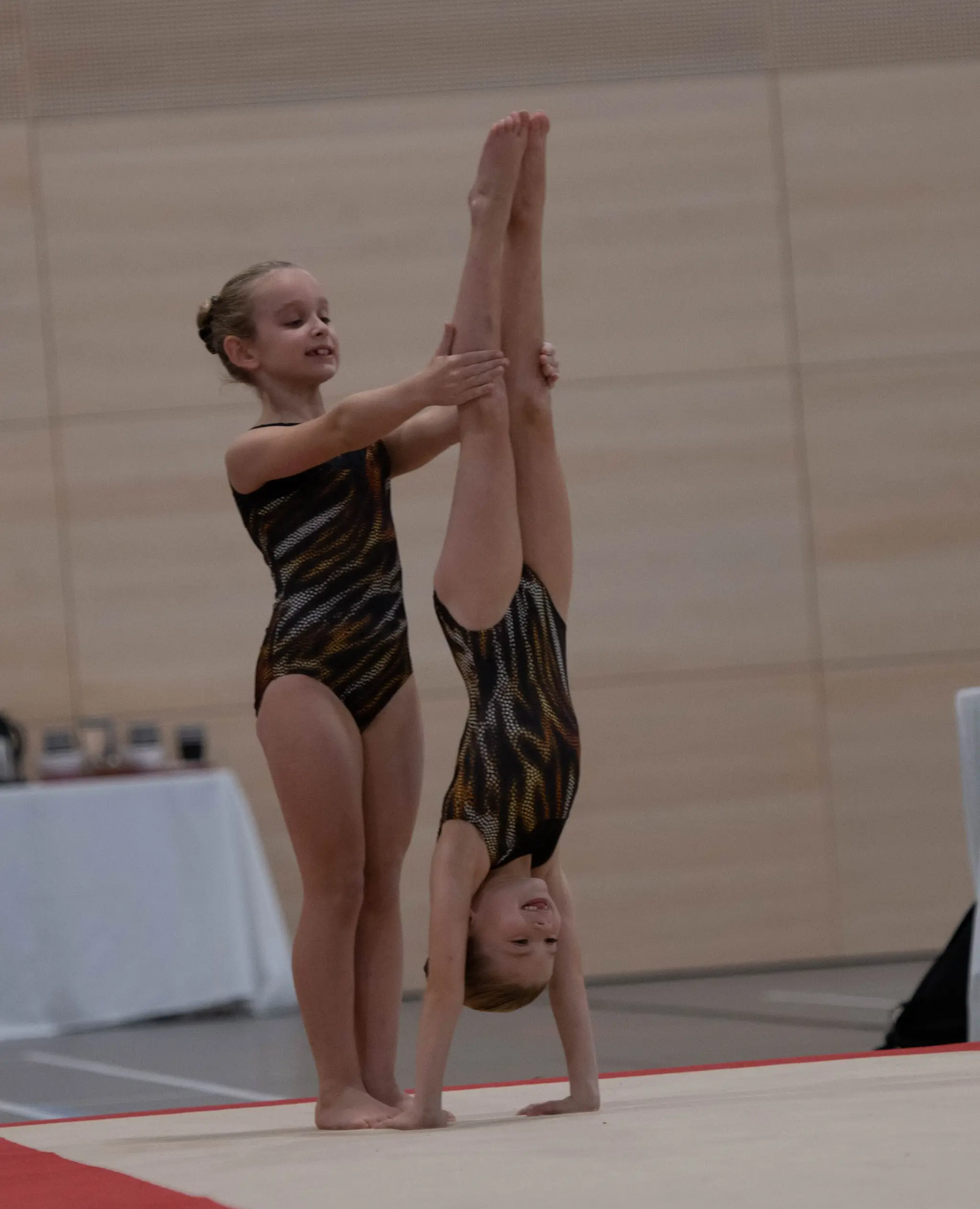 Tigers Gymnastics Centre