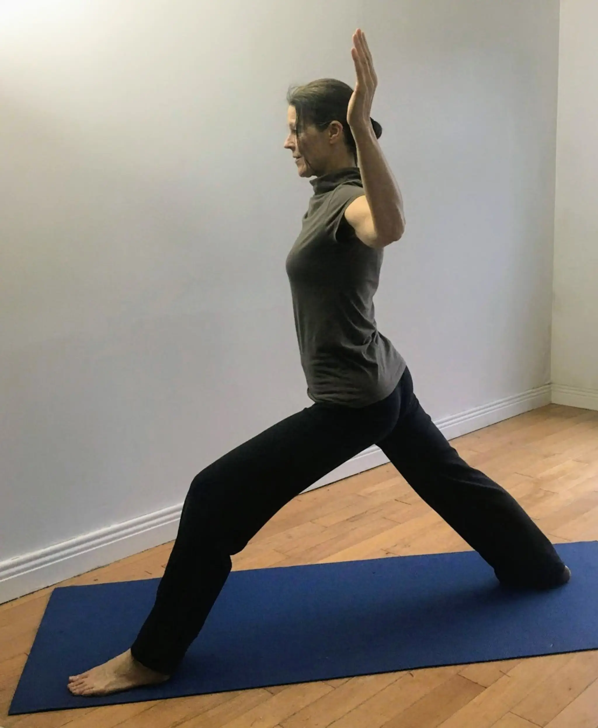 The Yoga Process
