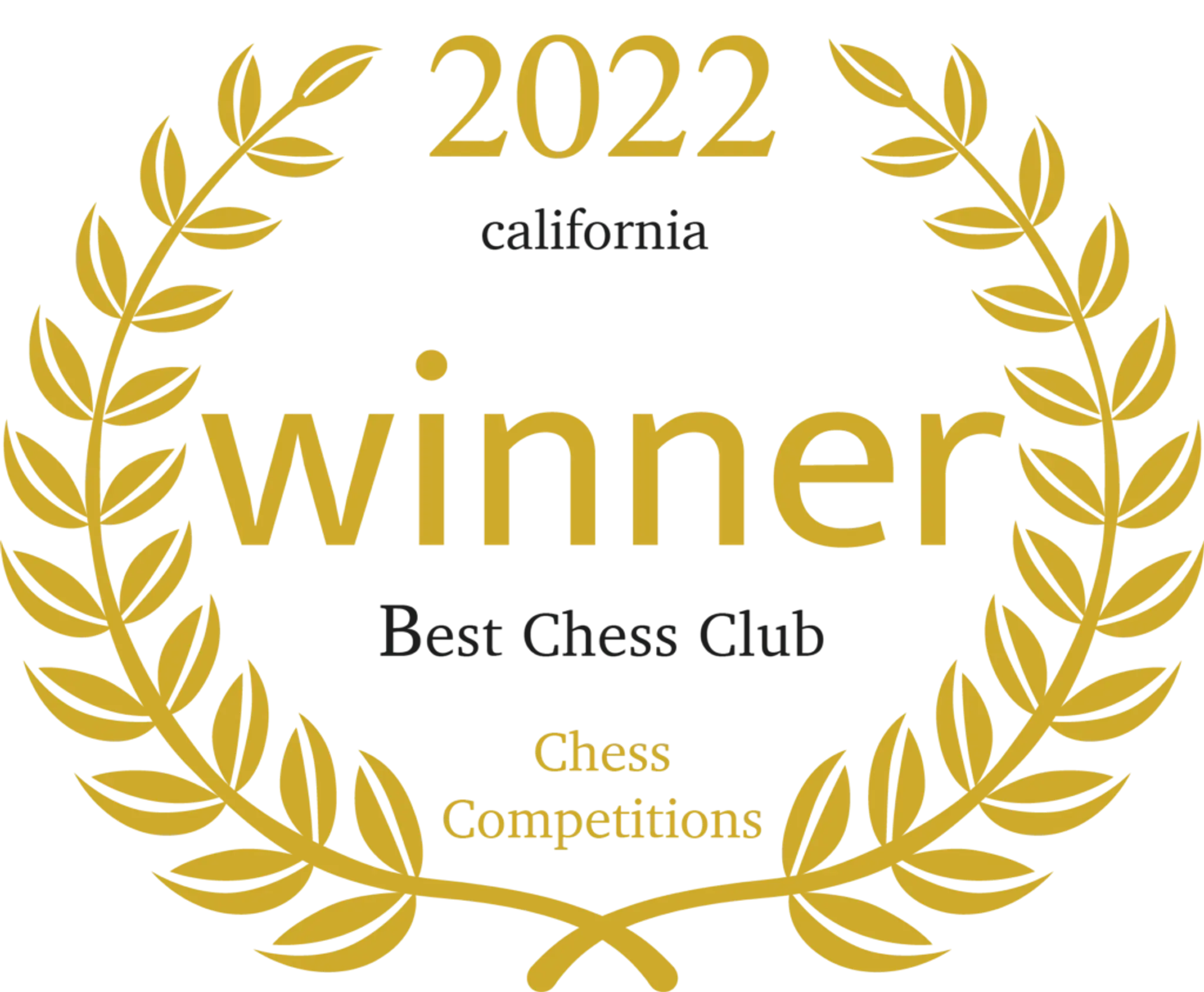 VBS Chess Academy