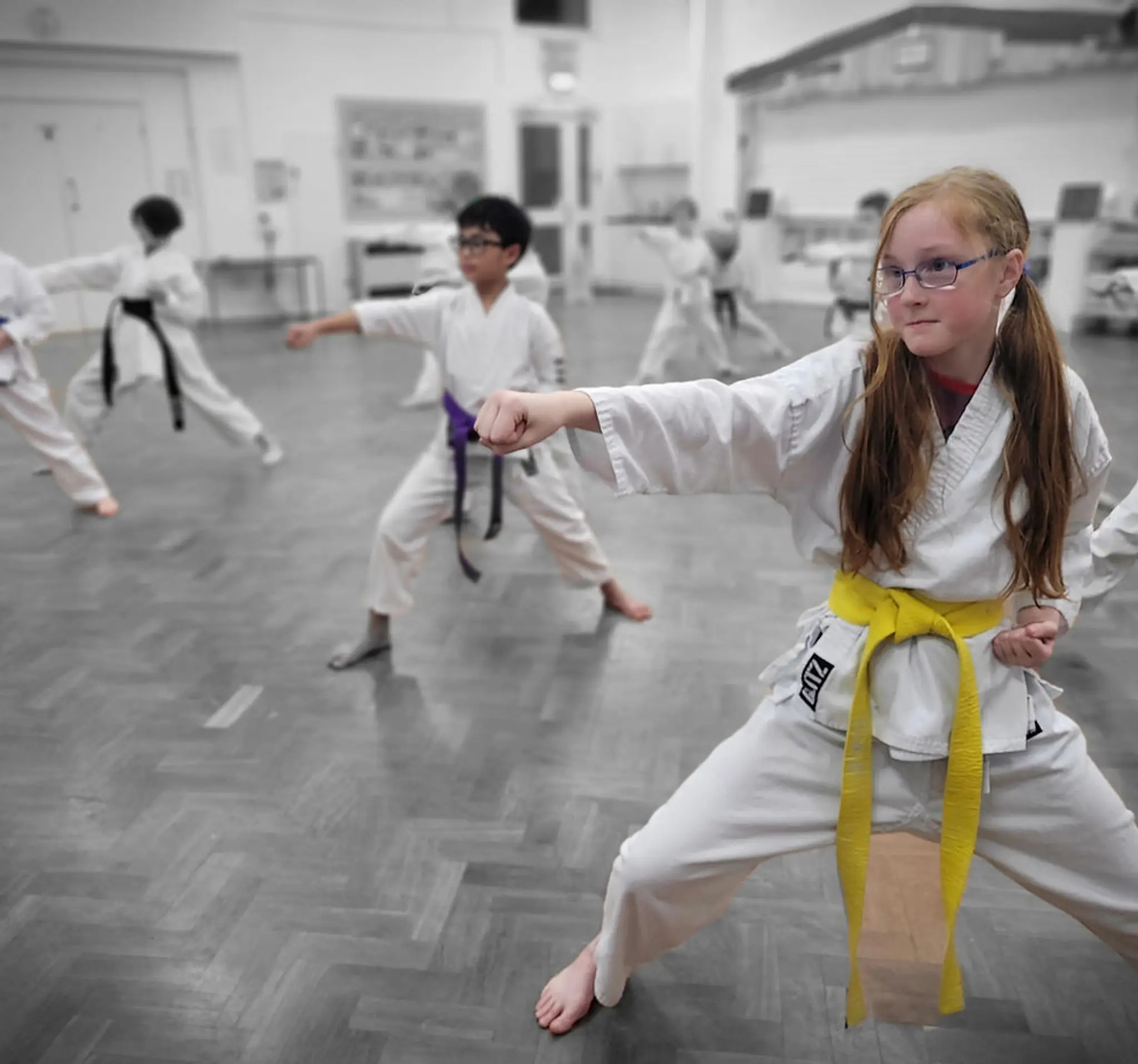 Silwood Park Karate Club
