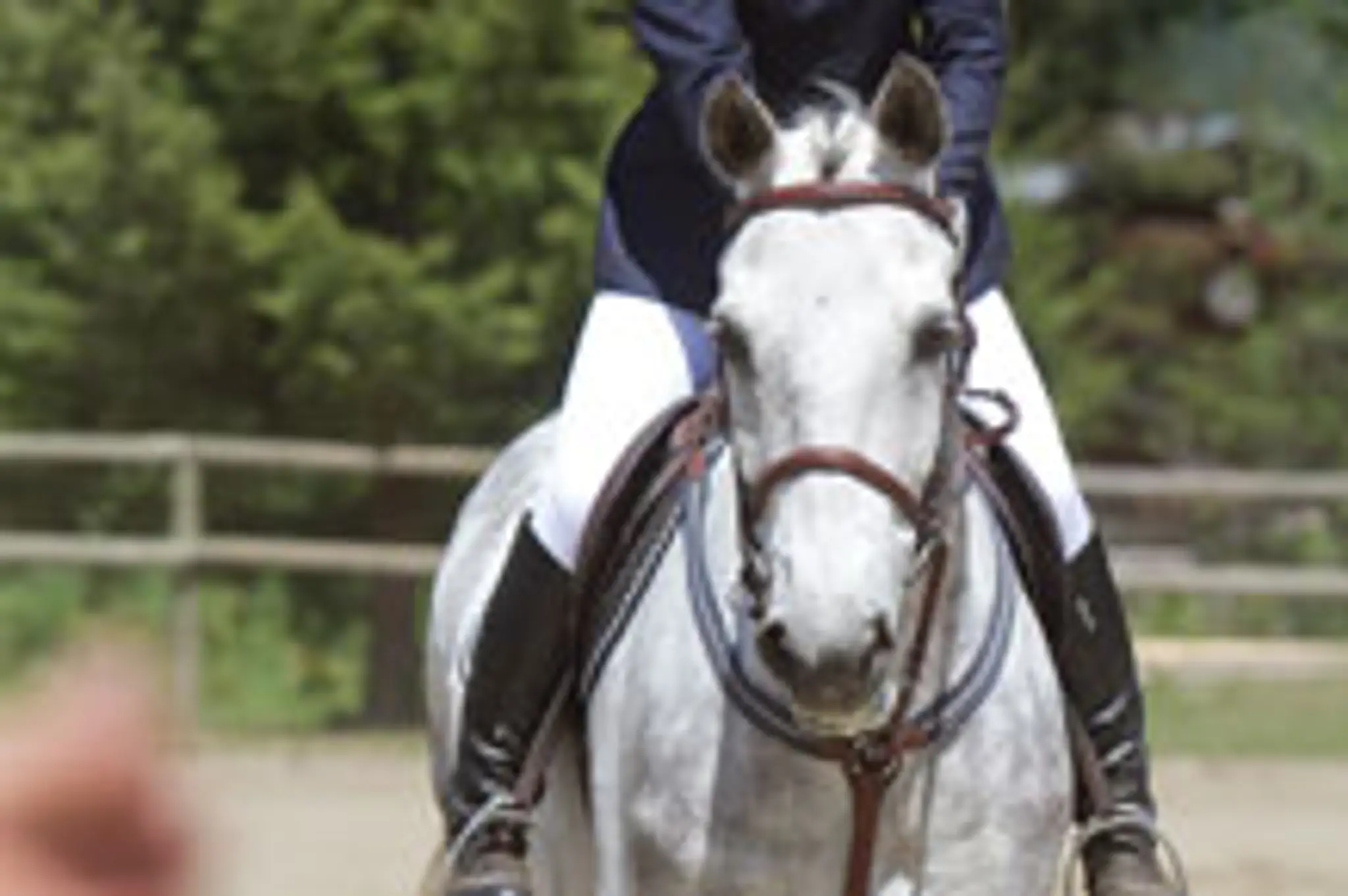 Topline Stables & Show Park