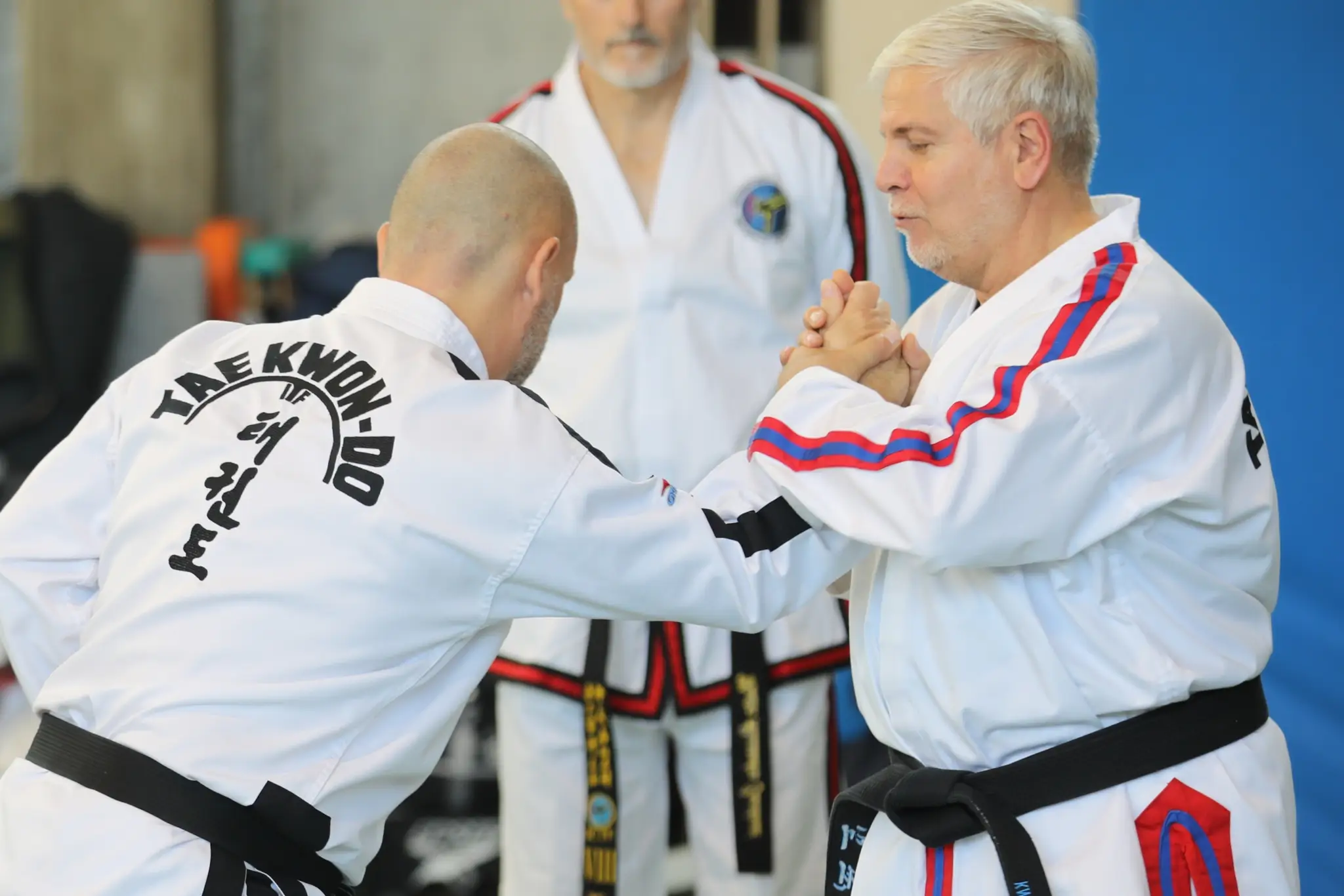 Woodbridge Taekwon-Do Inc.