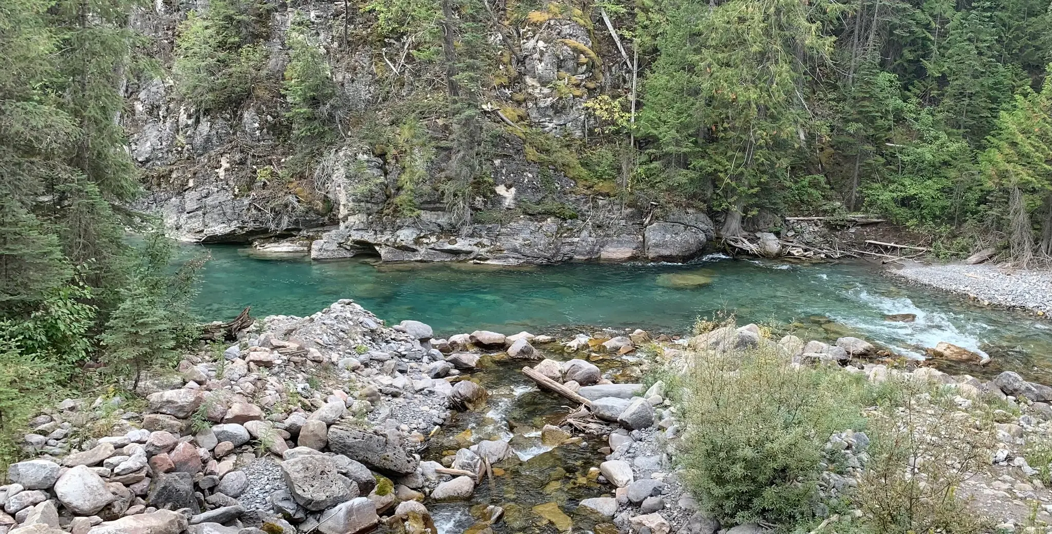 FREESTONE FLY ANGLER