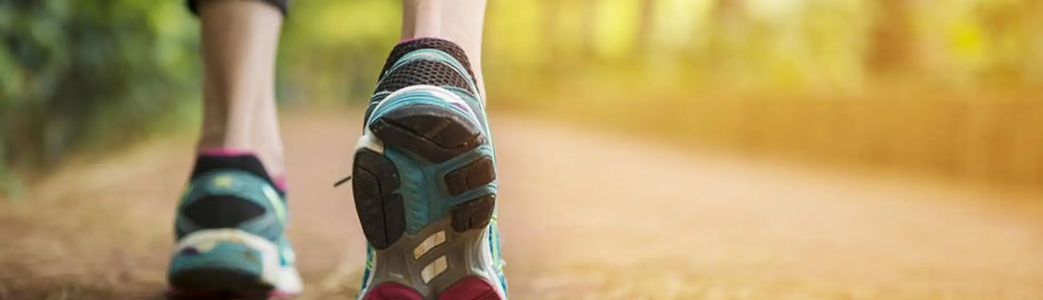 CJ Fitness and Nutrition