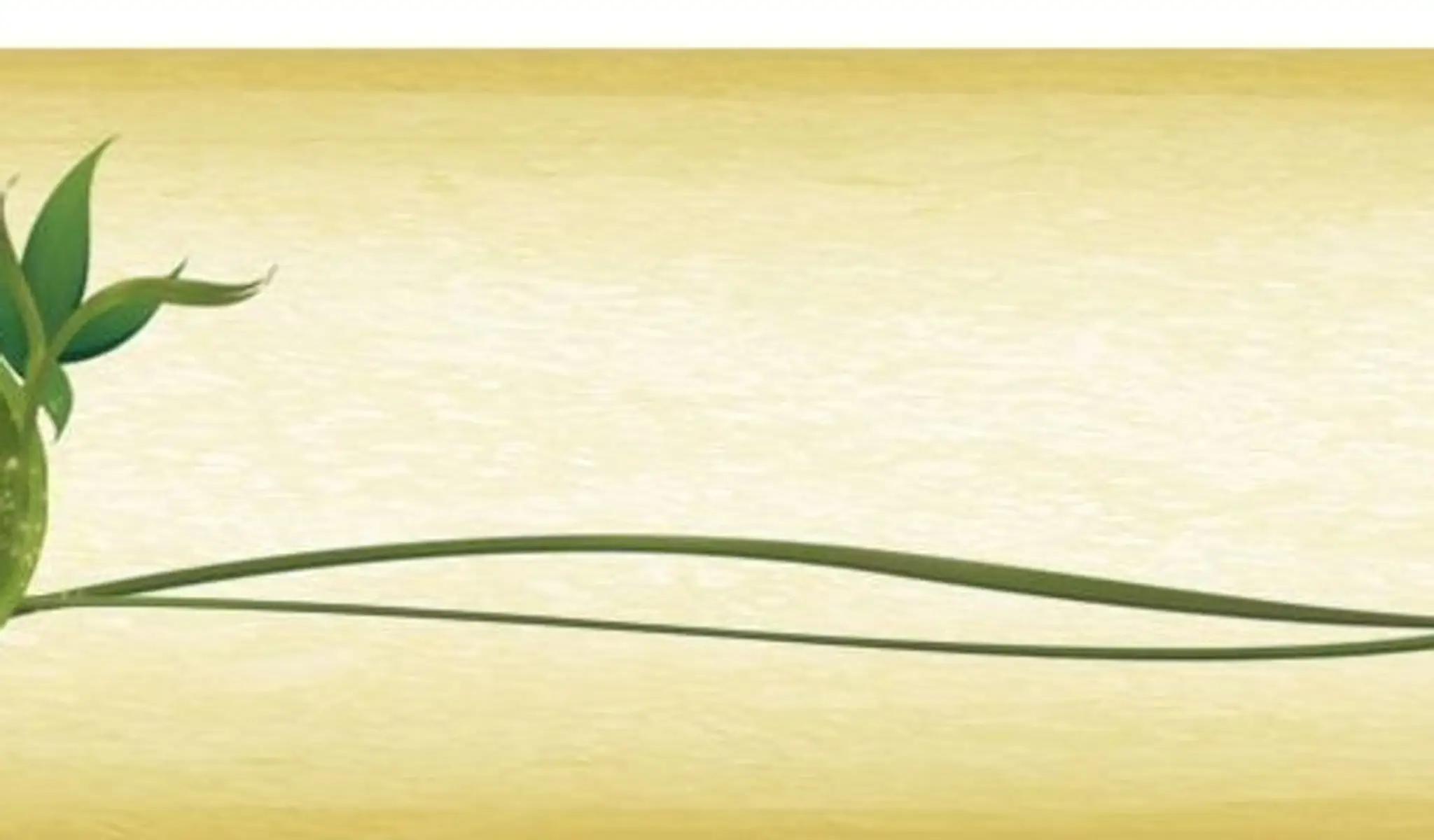 Gabriele Mendes, Acupunctrice / Acusant Wellness Laval