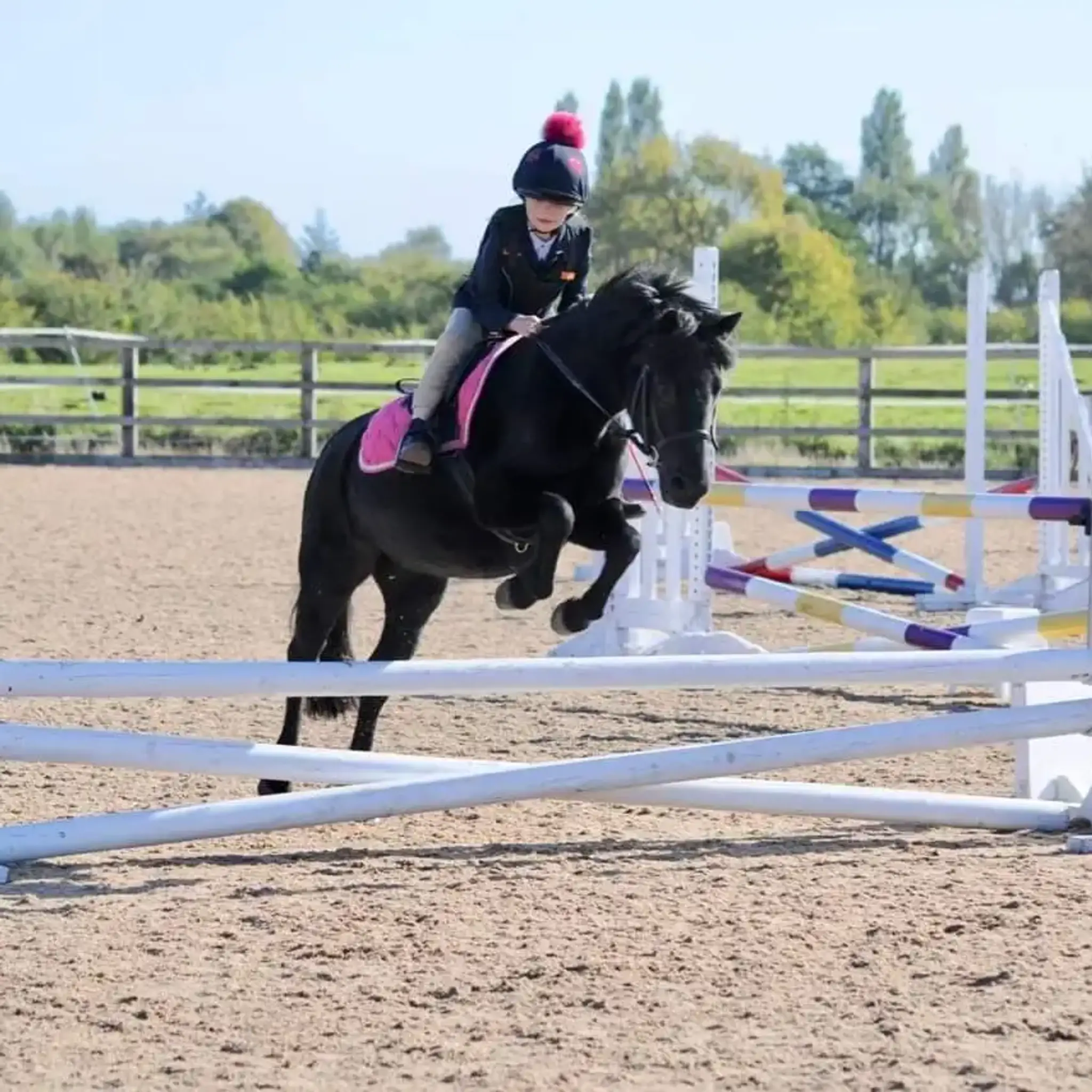 Bold Heath Equestrian Centre