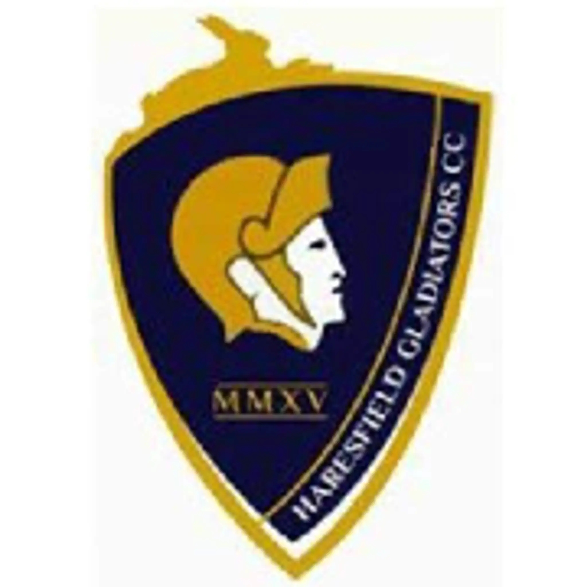 Frampton On Severn Cricket Club - The Oatfield