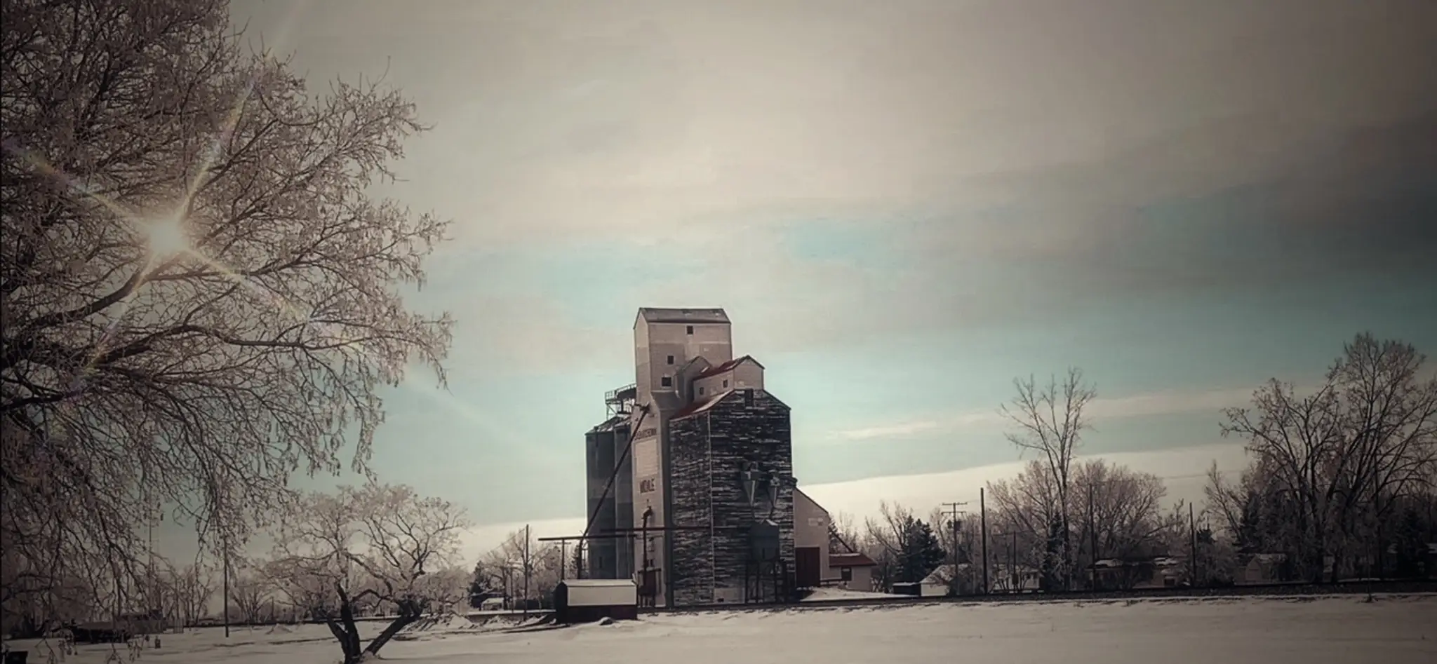 Harry O. Memorial Arena