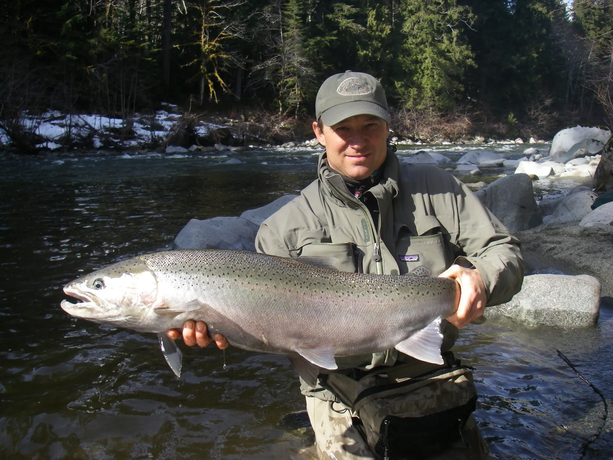 Lodge at Gold River (The)