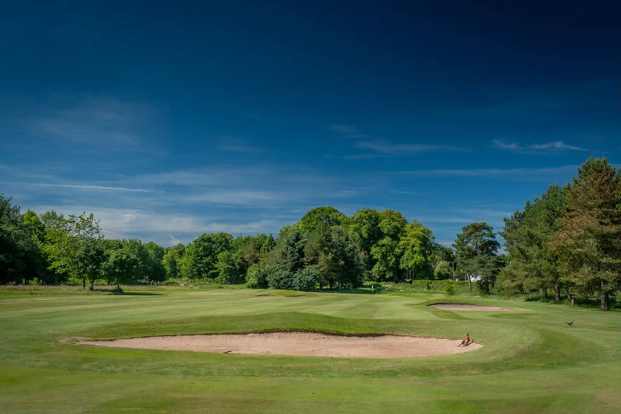 Kinross Golf Courses