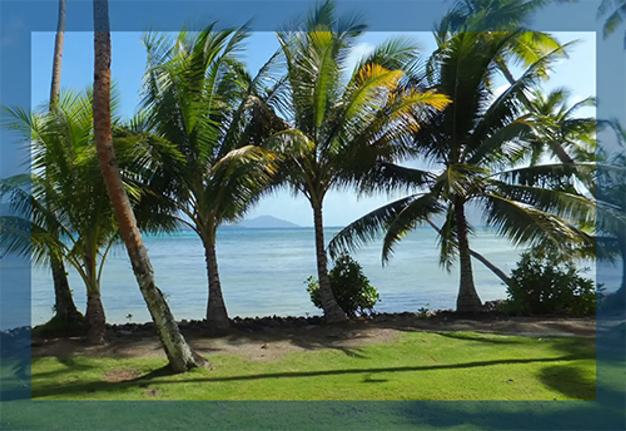 Big Blue Swim School