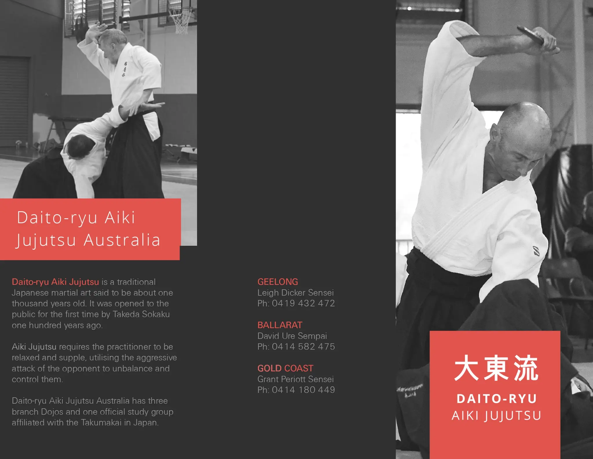 Daito-ryu Aiki Jujutsu