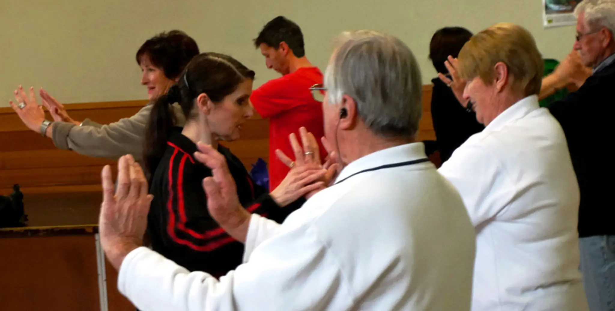 JinLi Wushu-Tai Chi Pty Ltd