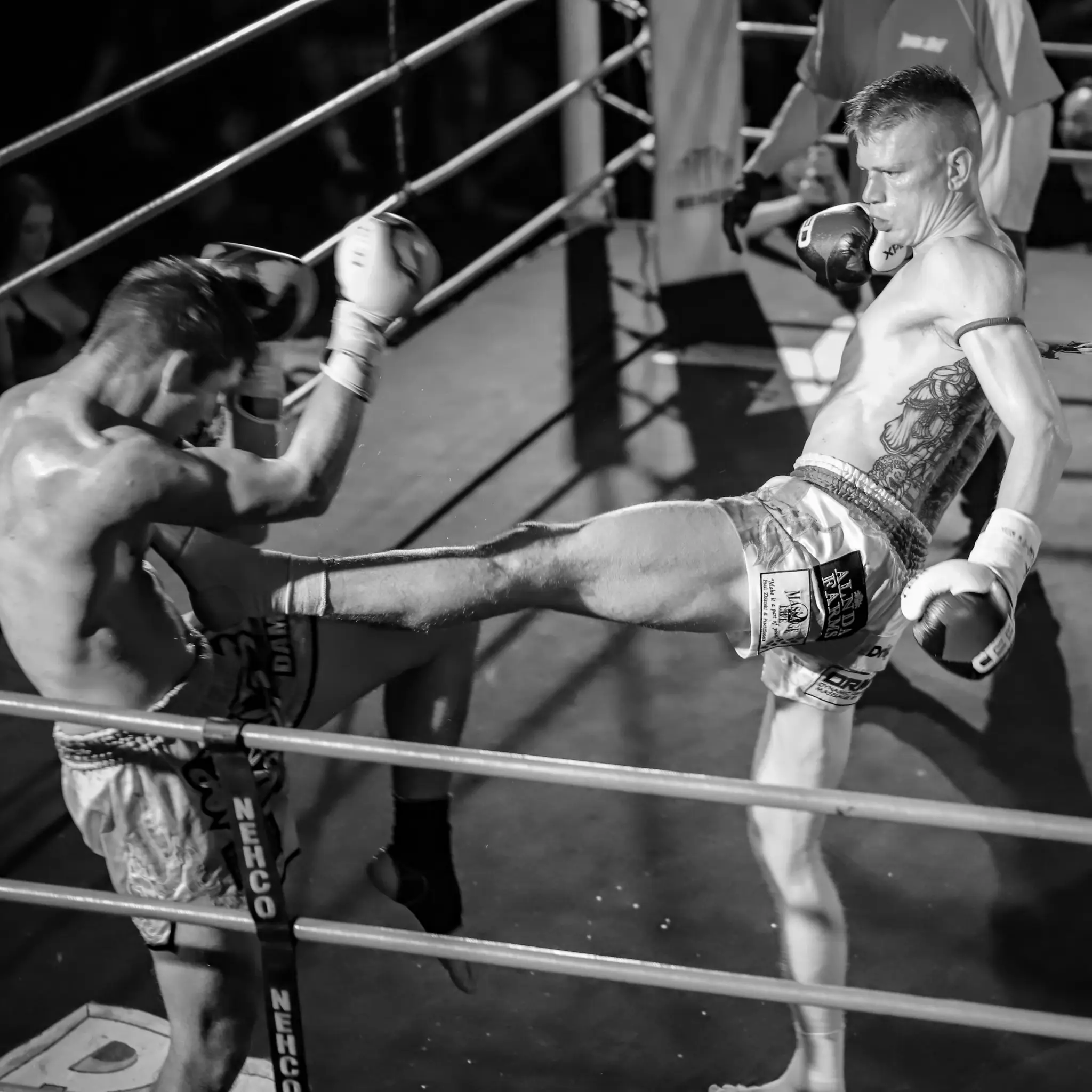 Technicians Thaiboxing