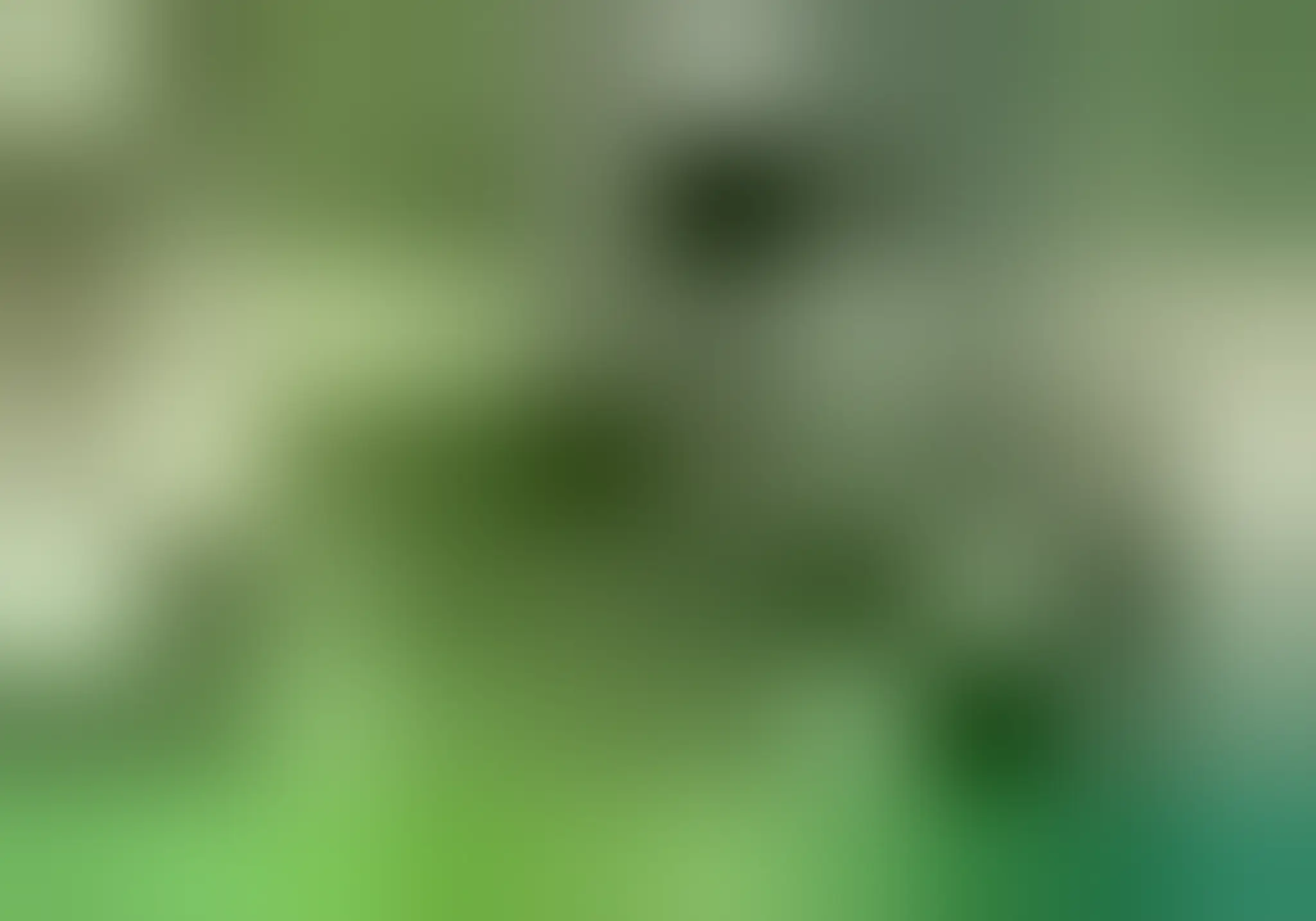 Tillsonburg Community Centre Gym