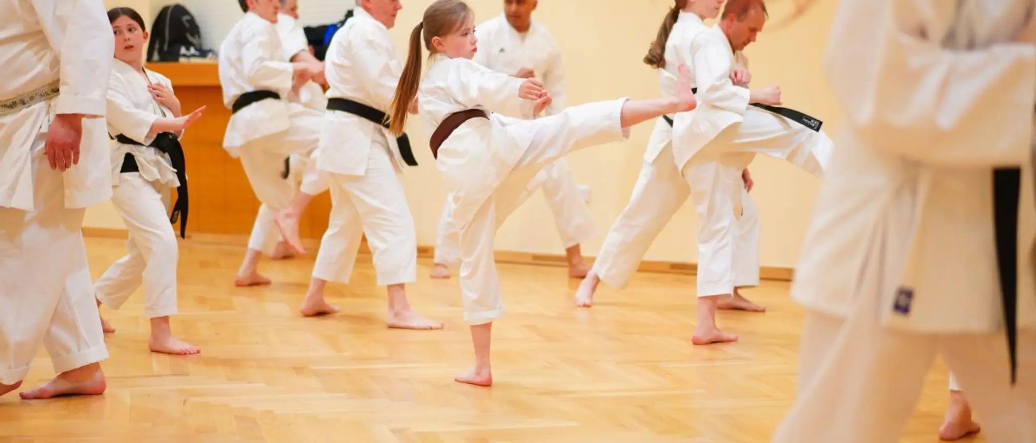 Hamilton Shotokan Karate Club