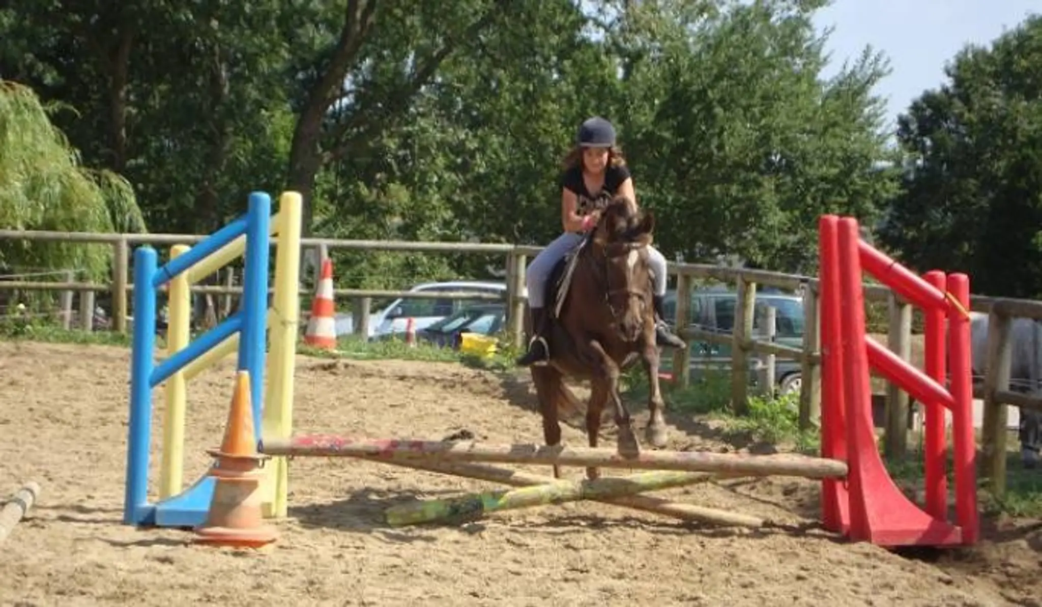 Family Association Du Grand Air