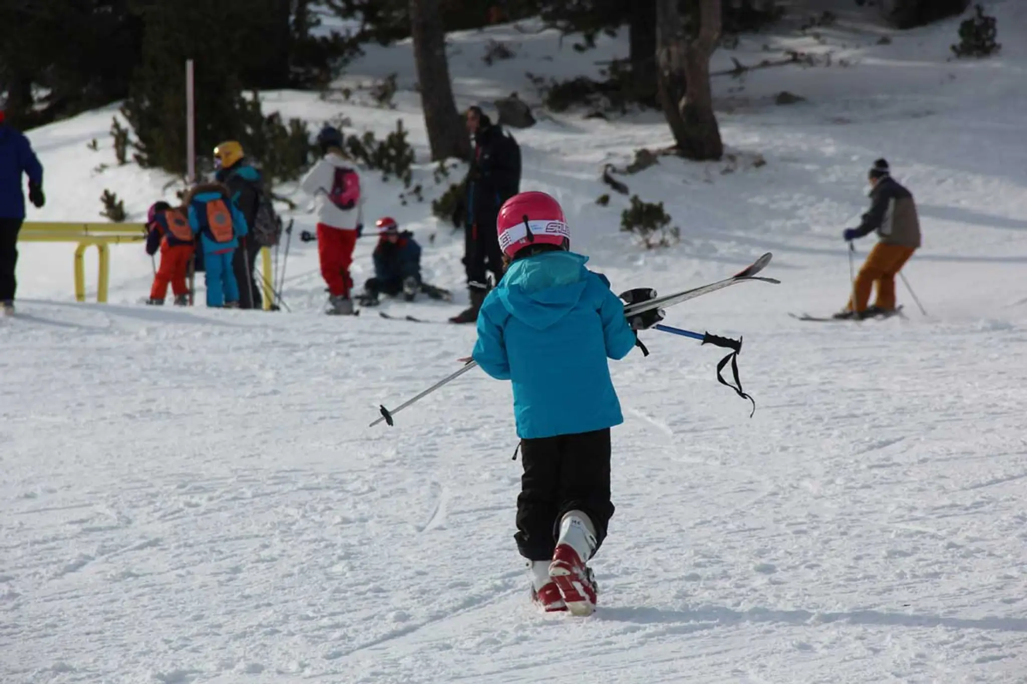 Himalayan Snow Runner An Adventure Trekking Company - Joshimath