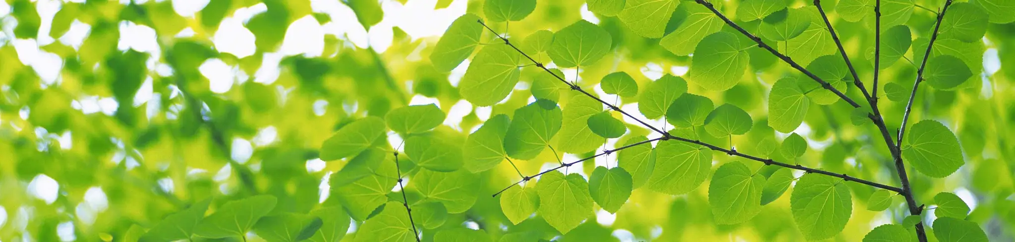 Being Well - Mindfulness Practice