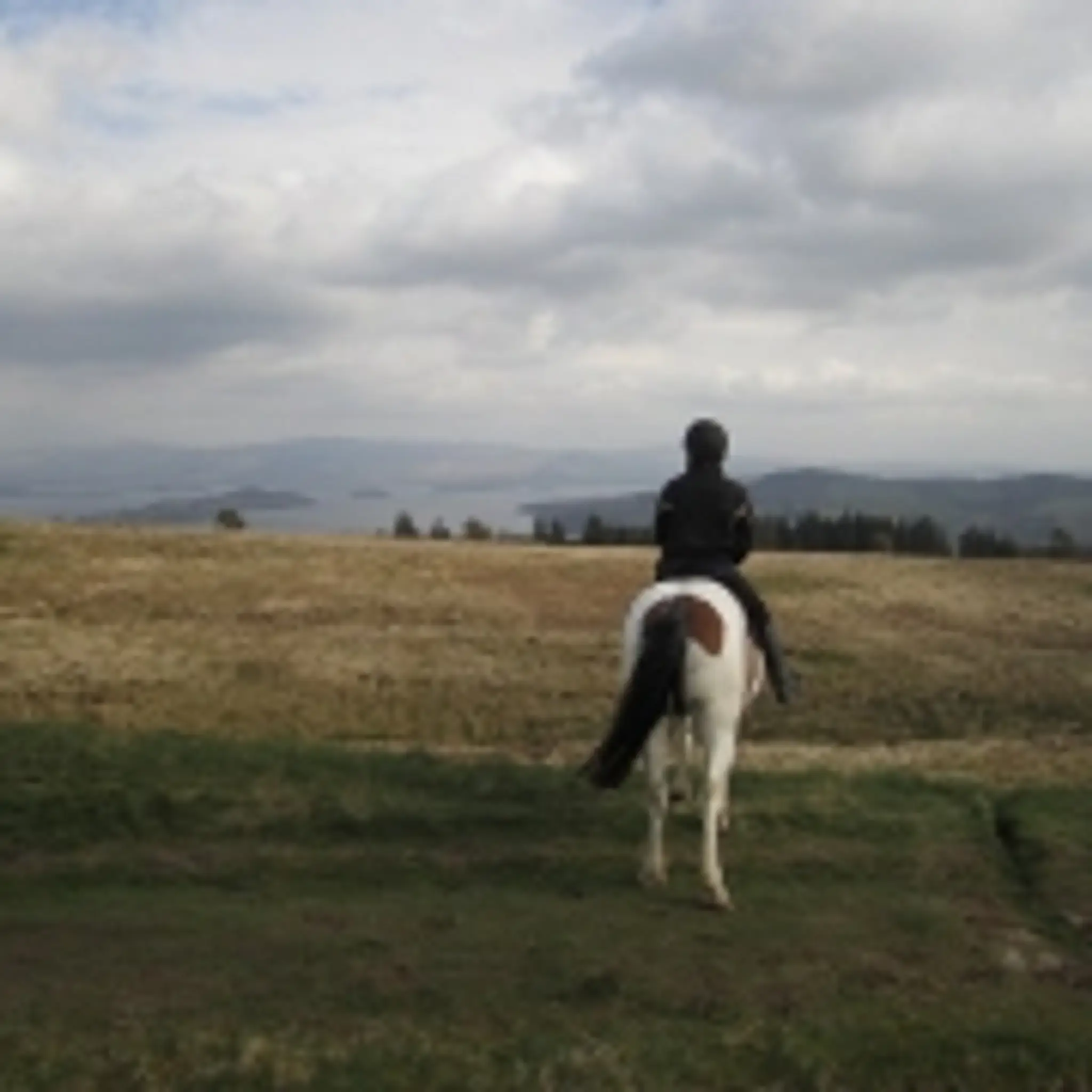 Loch Lomond Pony Trekking