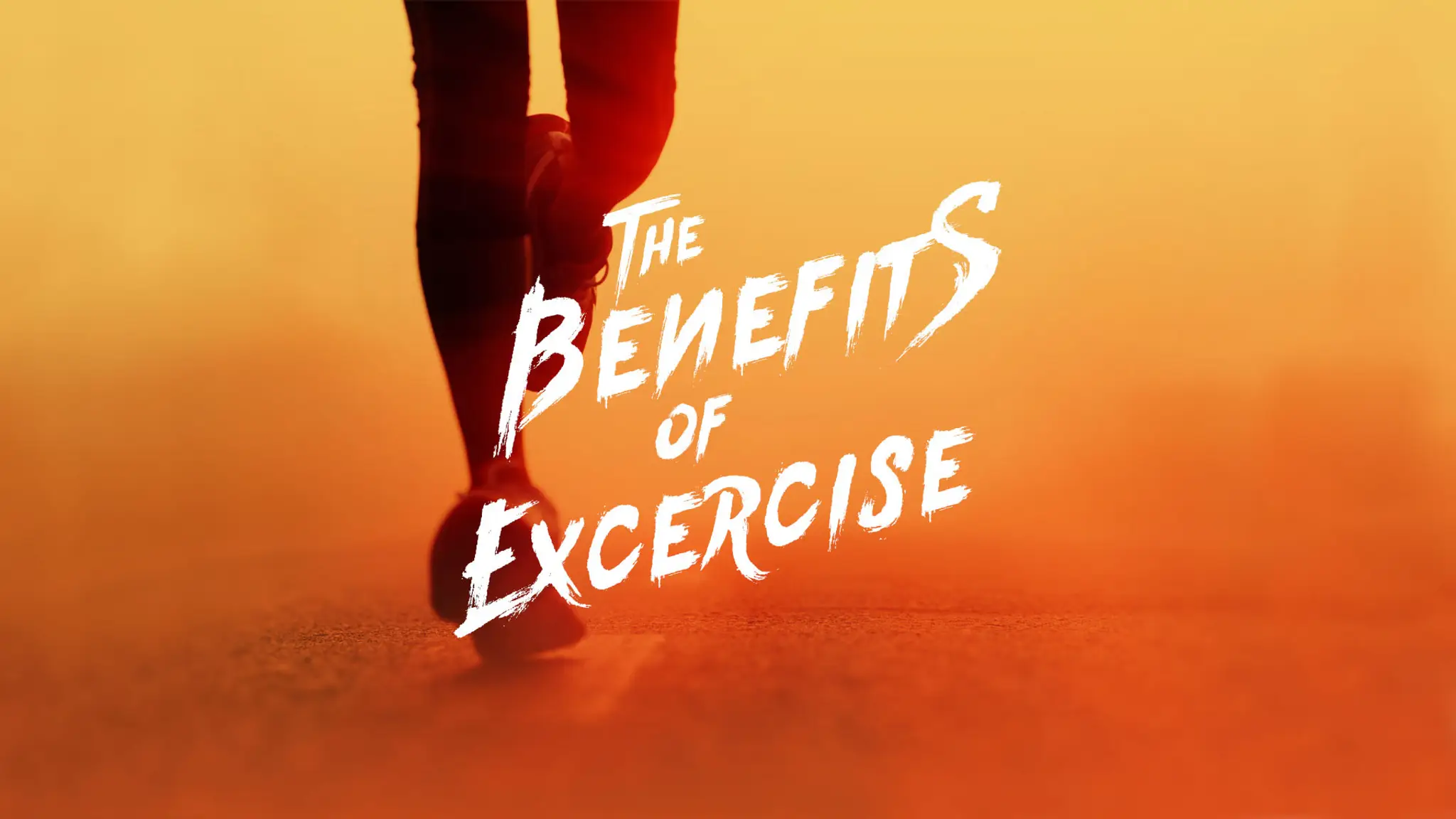 Ferrycarrig Active Club